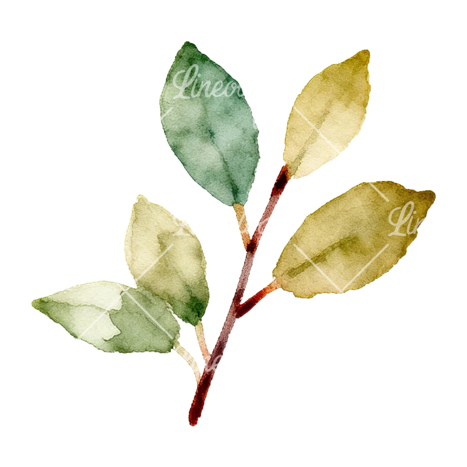 Watercolor berry sprig clipart 1 of 12 on a white background (JPG)