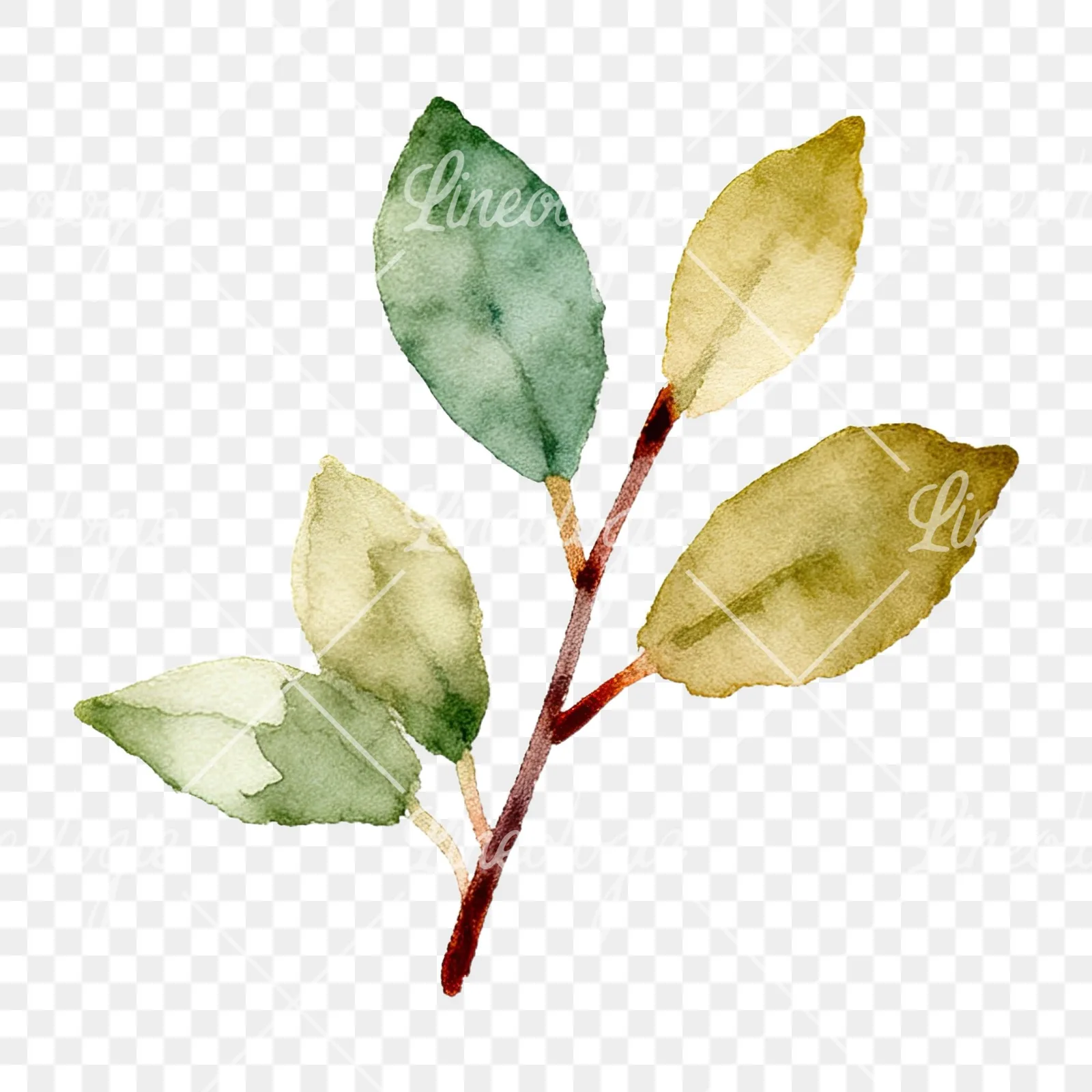 Watercolor berry sprig clipart 1 of 12 on a transparent background (PNG)