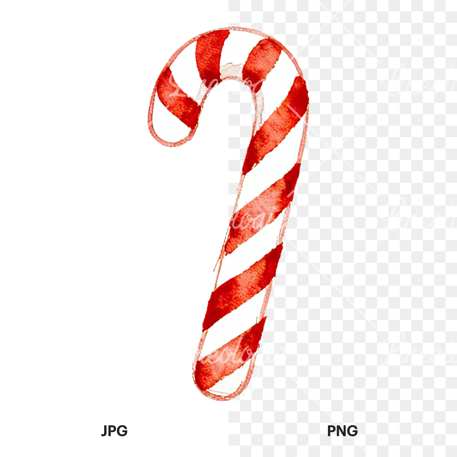 Watercolor candy cane clipart 3 of 12, as a JPG on white and a transparent PNG
