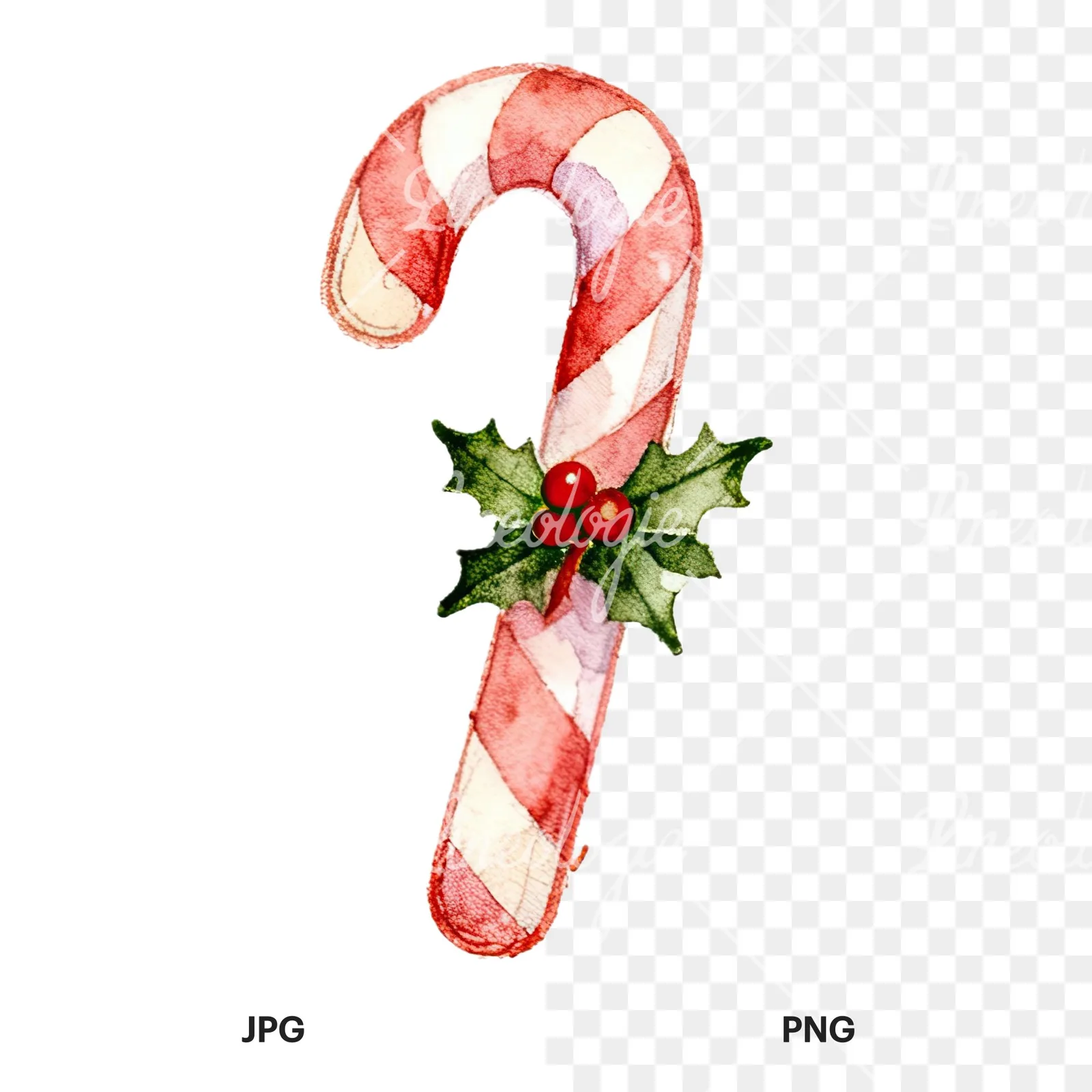 Watercolor candy cane clipart 11 of 12, as a JPG on white and a transparent PNG