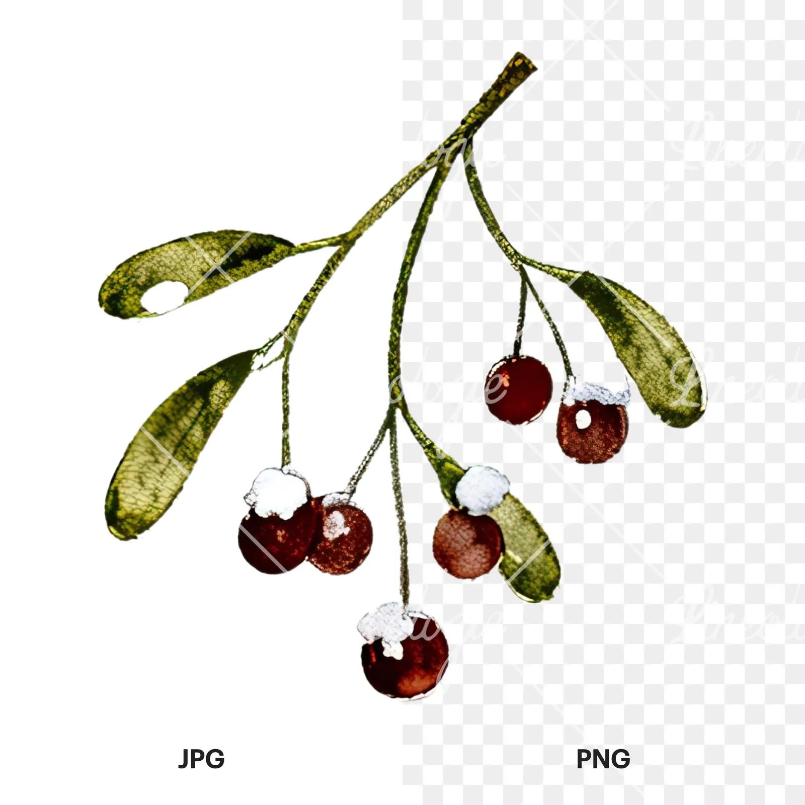 Watercolor Christmas item with deer clipart 4 of 12, as a JPG on white and a transparent PNG