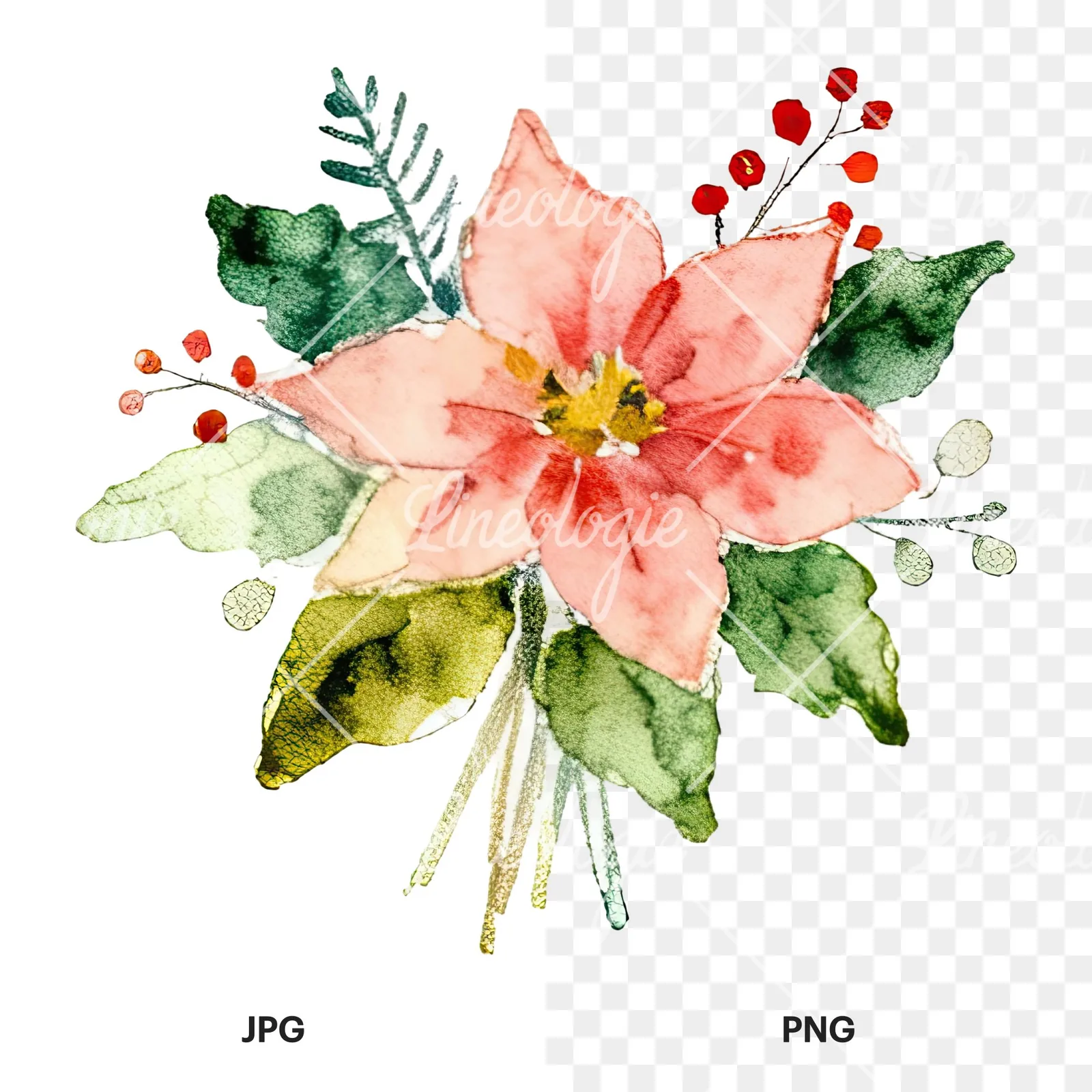 Watercolor Christmas flower bouquet clipart 1 of 12, as a JPG on white and a transparent PNG
