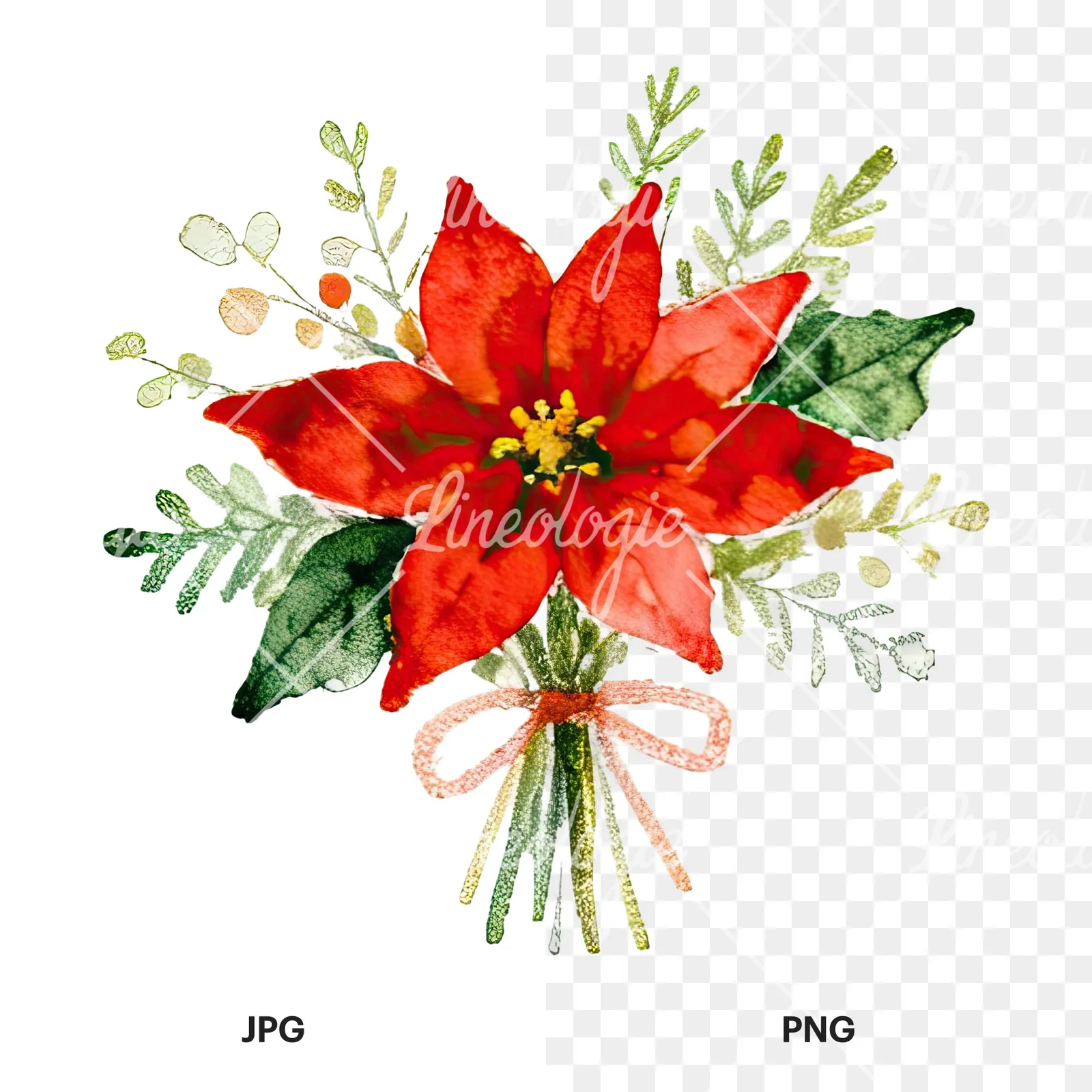 Watercolor Christmas flower bouquet clipart 3 of 12, as a JPG on white and a transparent PNG