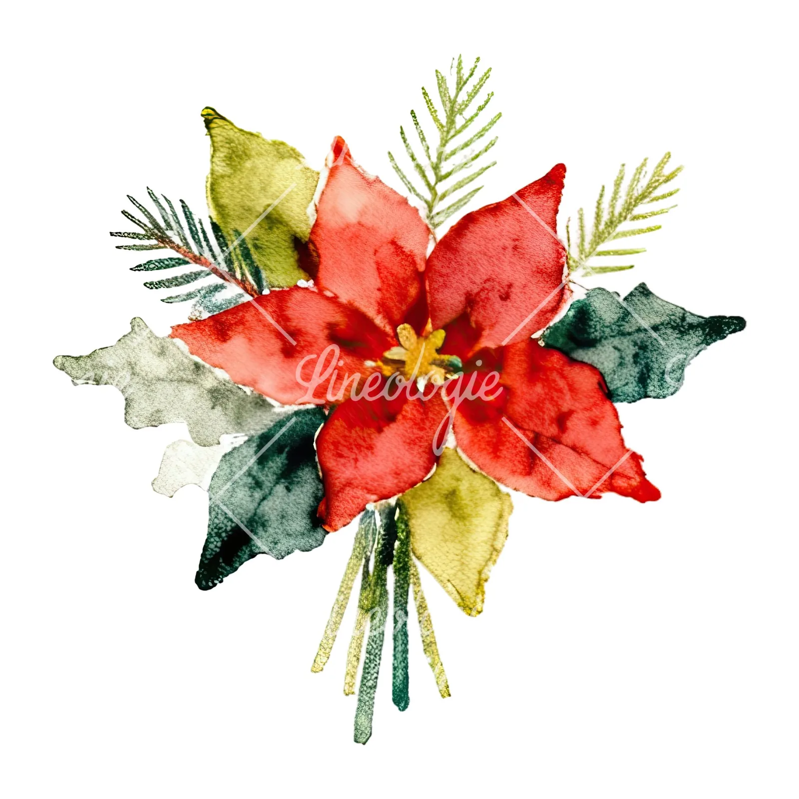 Watercolor Christmas flower bouquet clipart 4 of 12 on a white background (JPG)