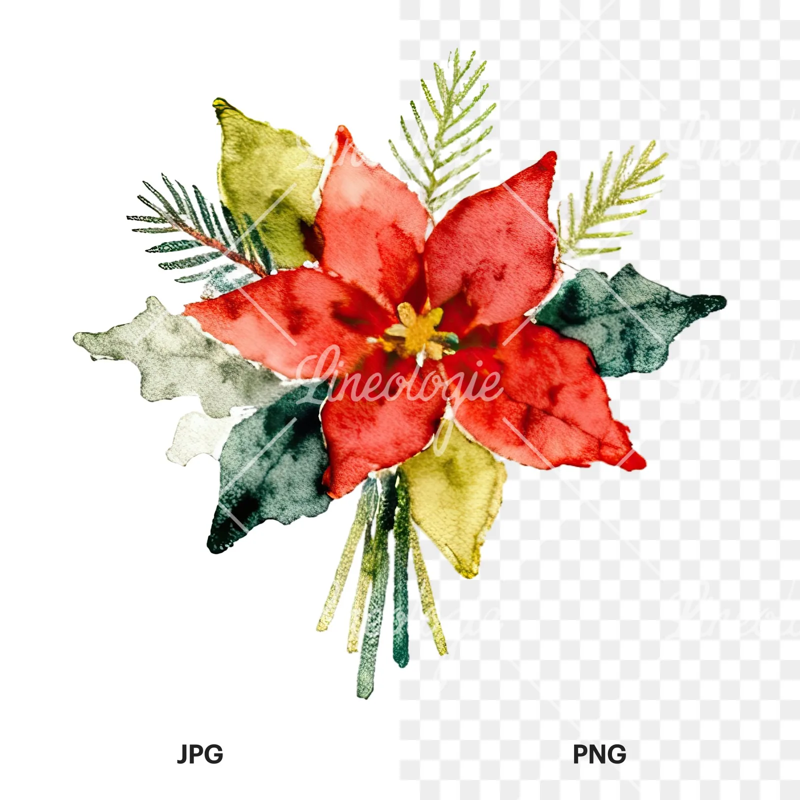 Watercolor Christmas flower bouquet clipart 4 of 12, as a JPG on white and a transparent PNG