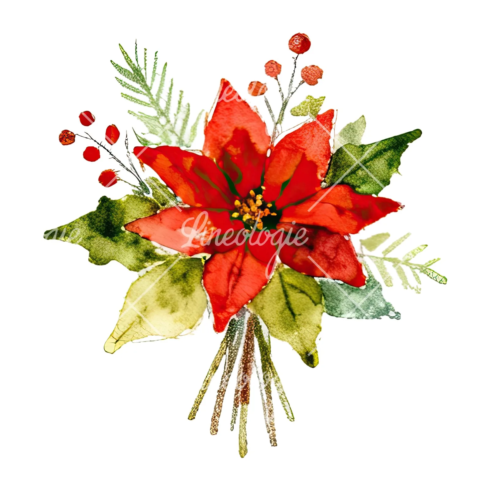 Watercolor Christmas flower bouquet clipart 5 of 12 on a white background (JPG)