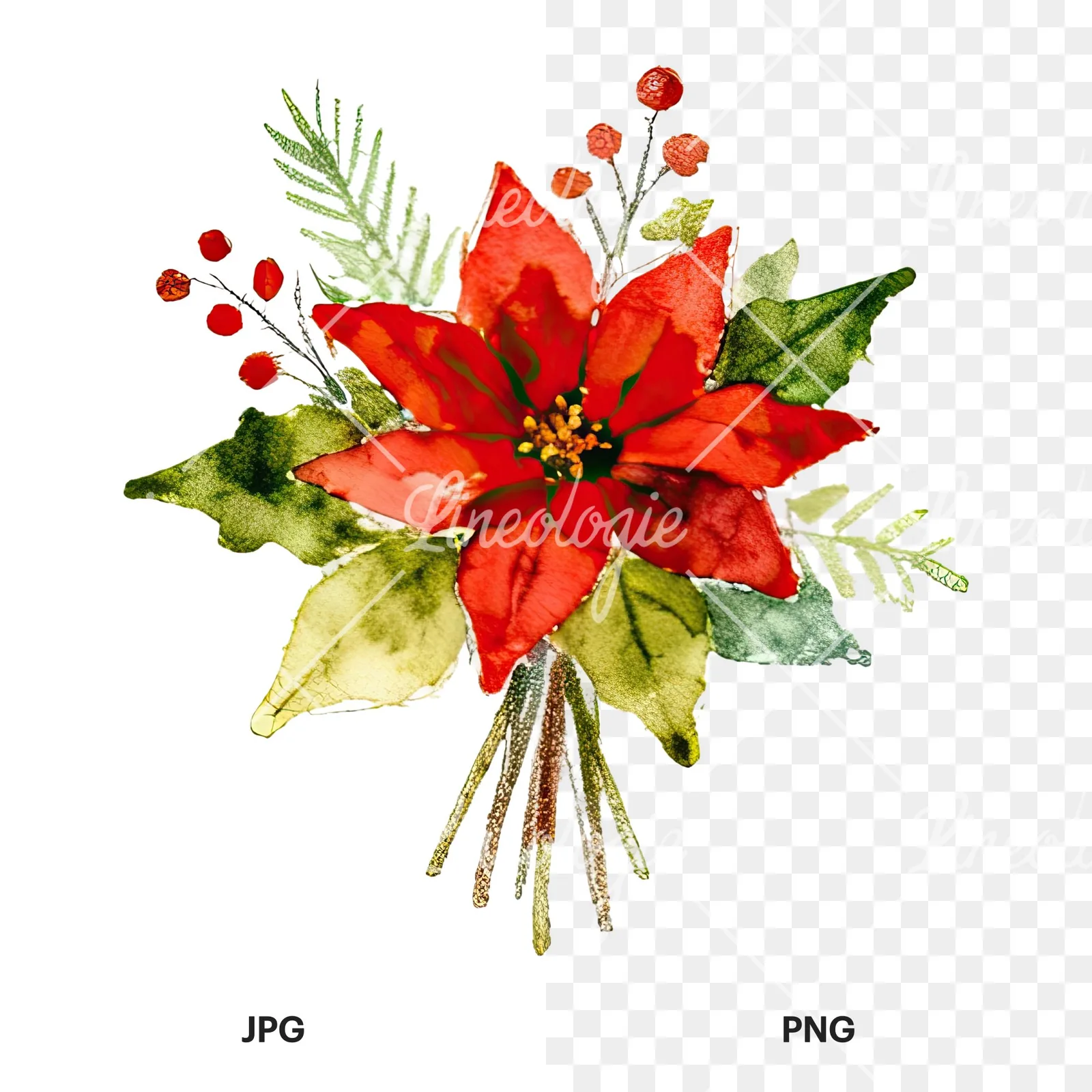 Watercolor Christmas flower bouquet clipart 5 of 12, as a JPG on white and a transparent PNG