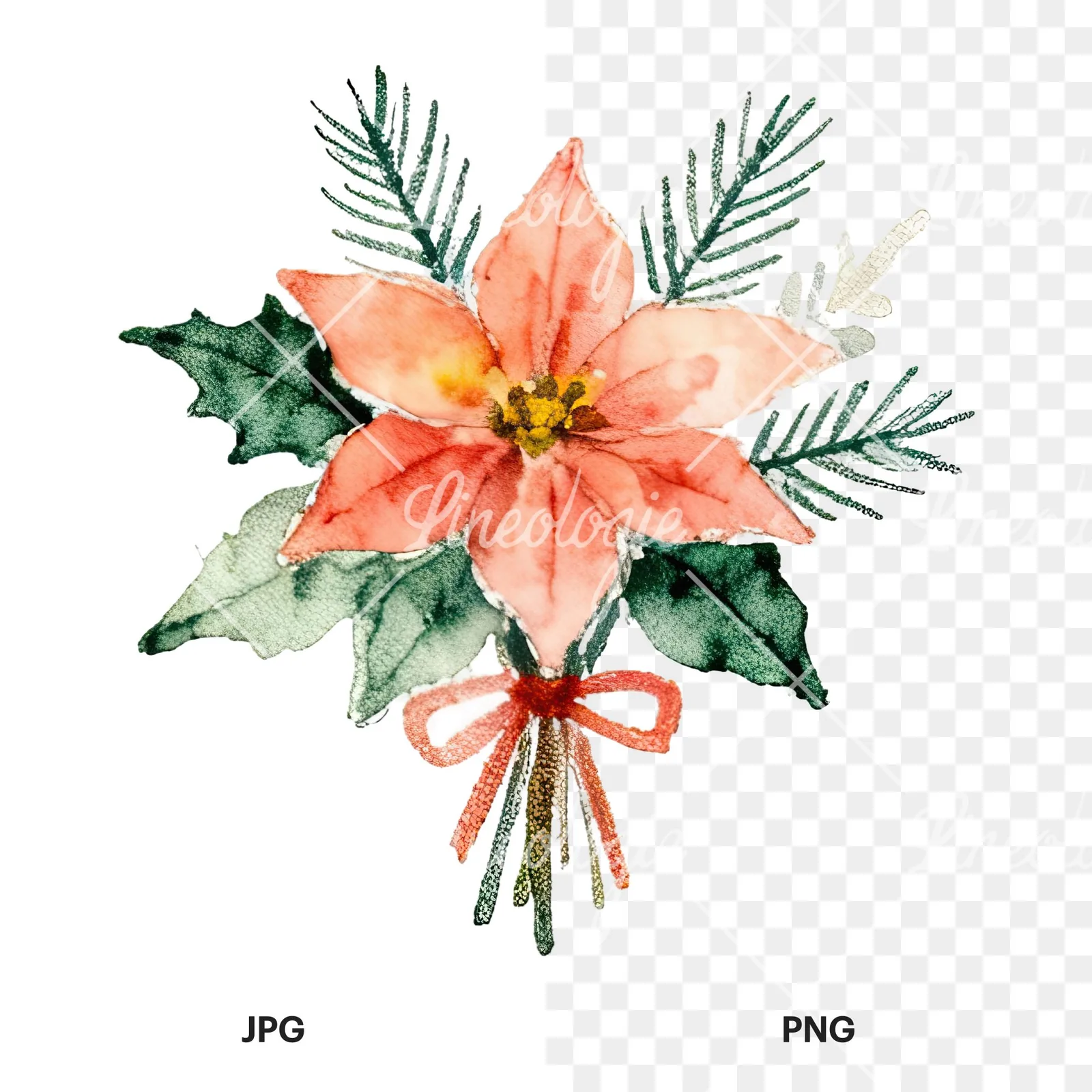 Watercolor Christmas flower bouquet clipart 8 of 12, as a JPG on white and a transparent PNG