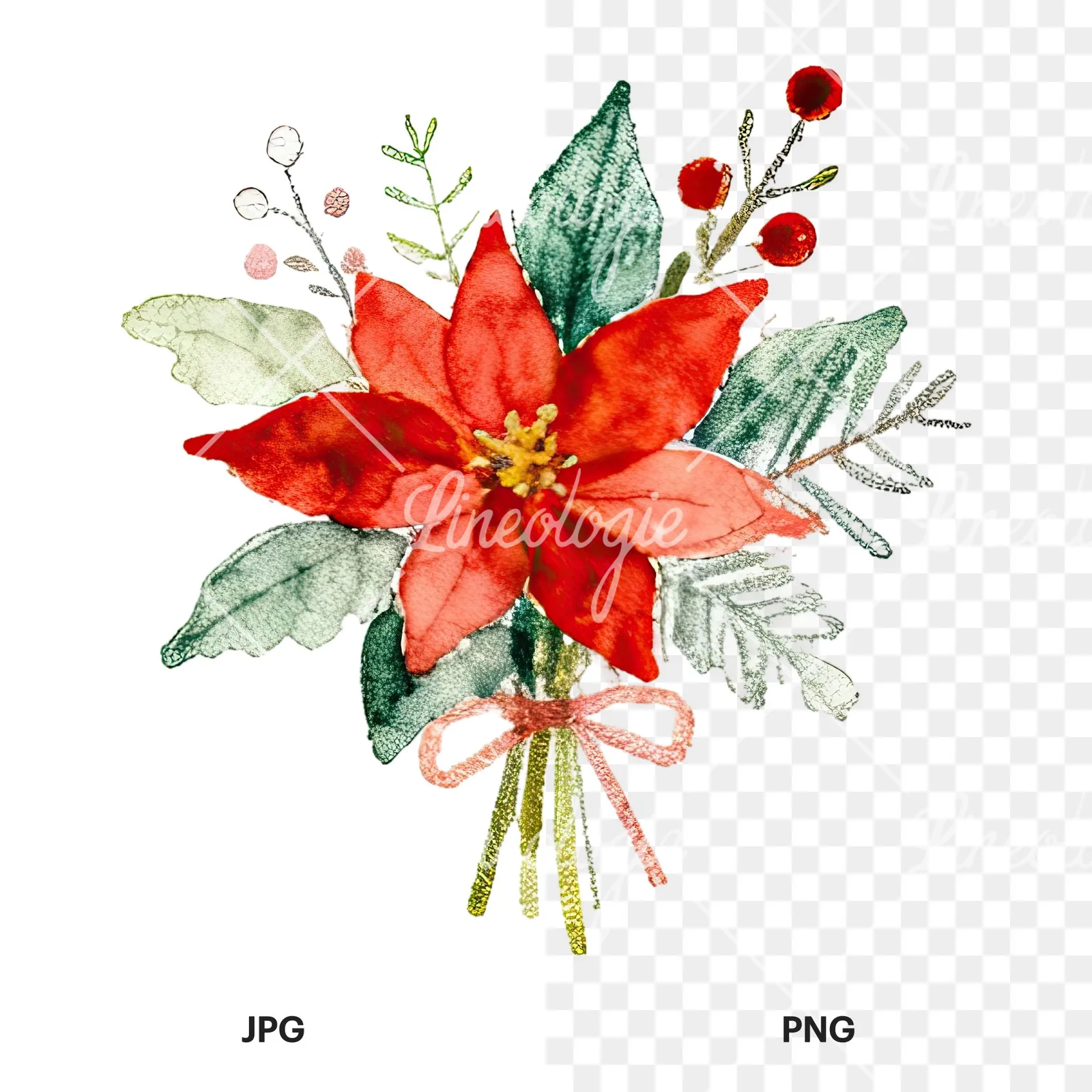 Watercolor Christmas flower bouquet clipart 12 of 12, as a JPG on white and a transparent PNG
