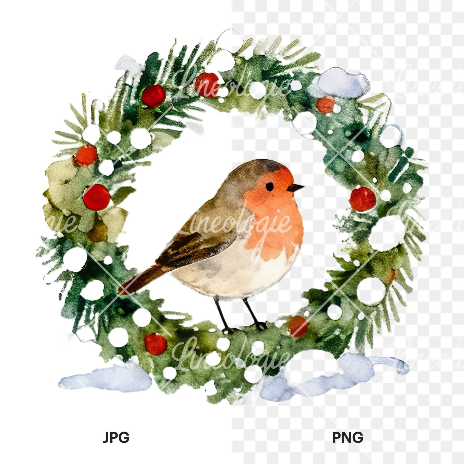 Watercolor robin wreath clipart 1 of 12, as a JPG on white and a transparent PNG