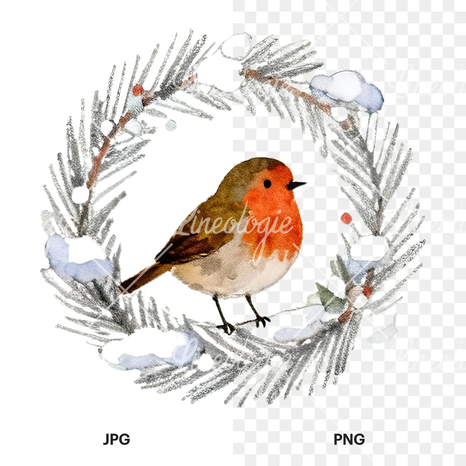 Watercolor robin wreath clipart 2 of 12, as a JPG on white and a transparent PNG