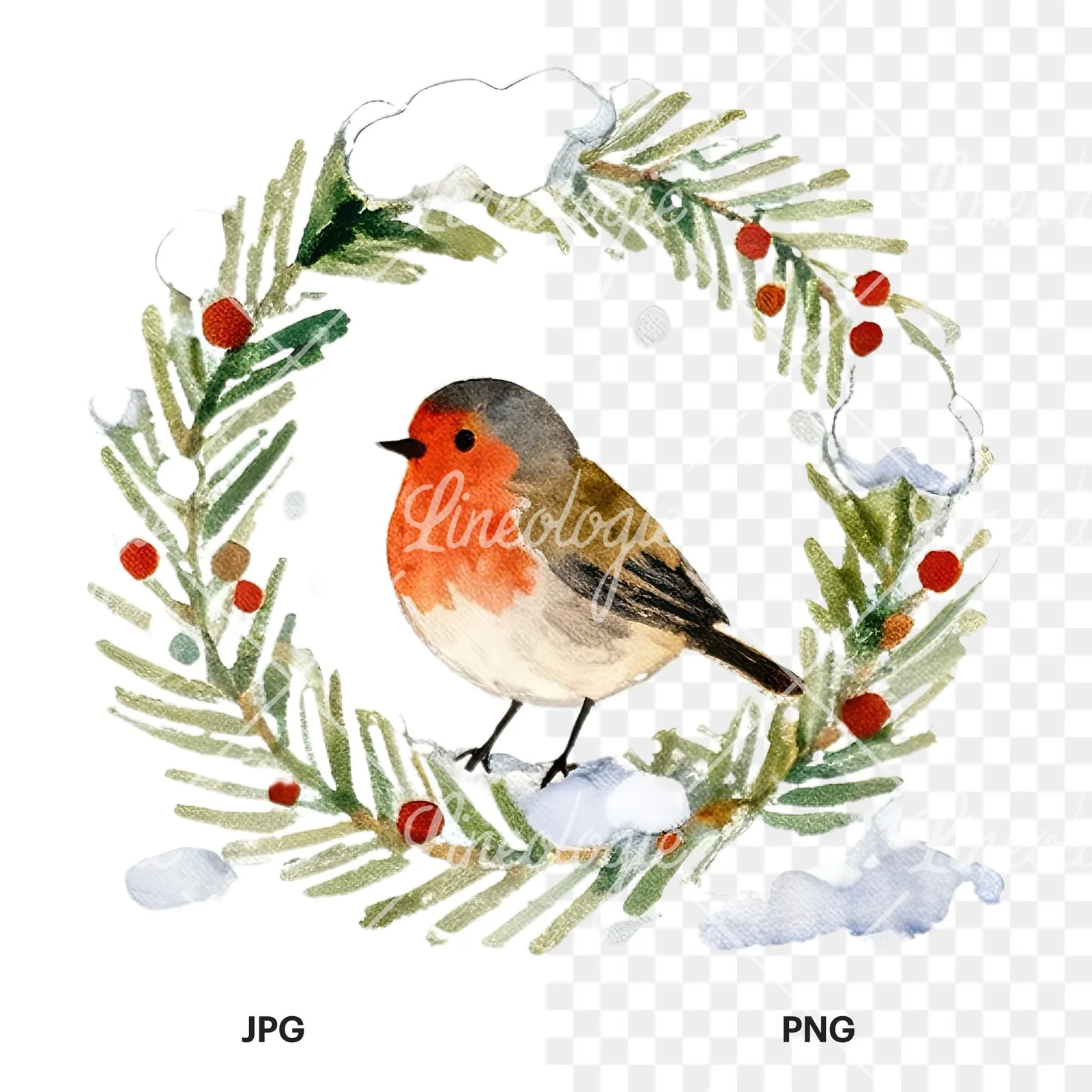 Watercolor robin wreath clipart 3 of 12, as a JPG on white and a transparent PNG