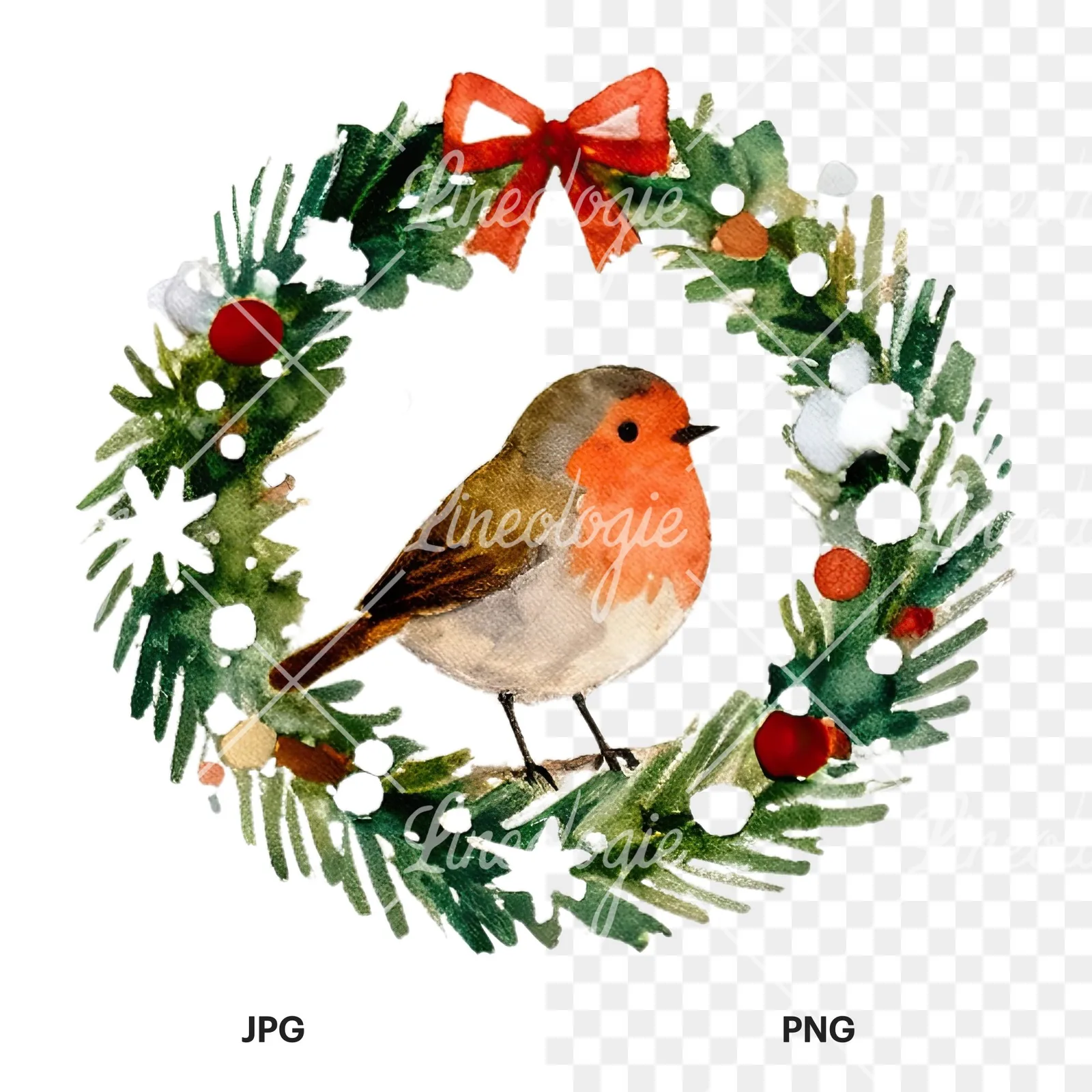 Watercolor robin wreath clipart 5 of 12, as a JPG on white and a transparent PNG