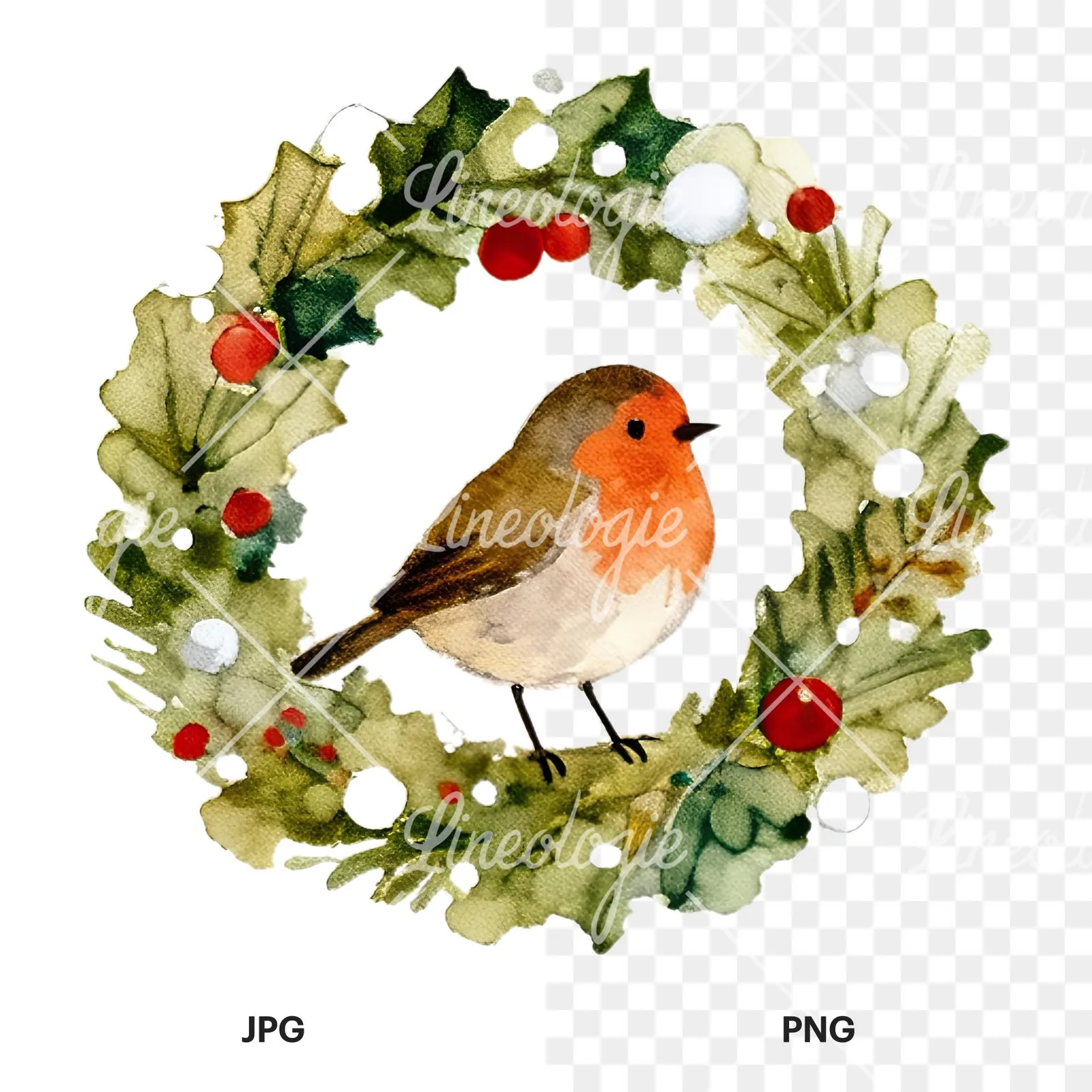 Watercolor robin wreath clipart 7 of 12, as a JPG on white and a transparent PNG