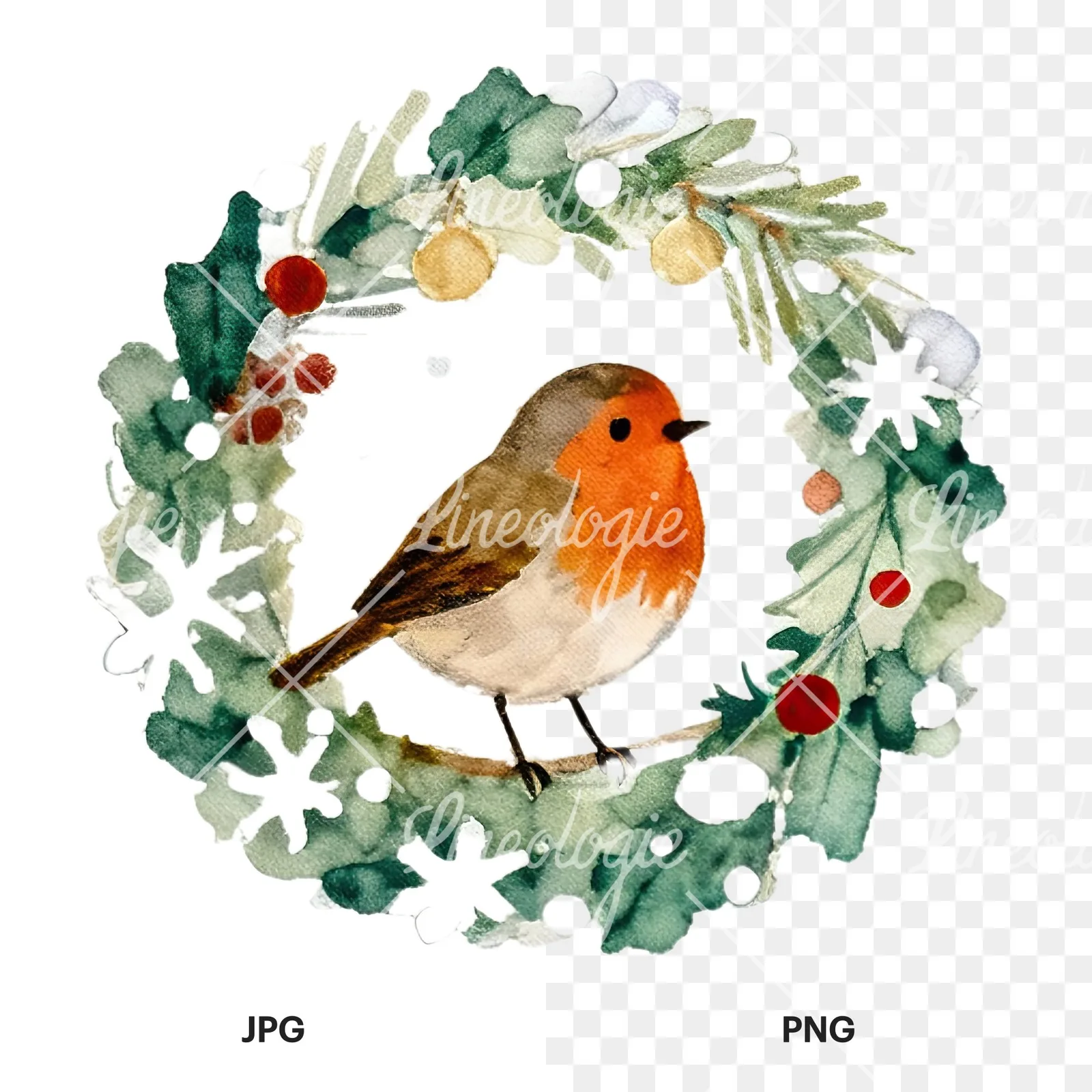 Watercolor robin wreath clipart 8 of 12, as a JPG on white and a transparent PNG