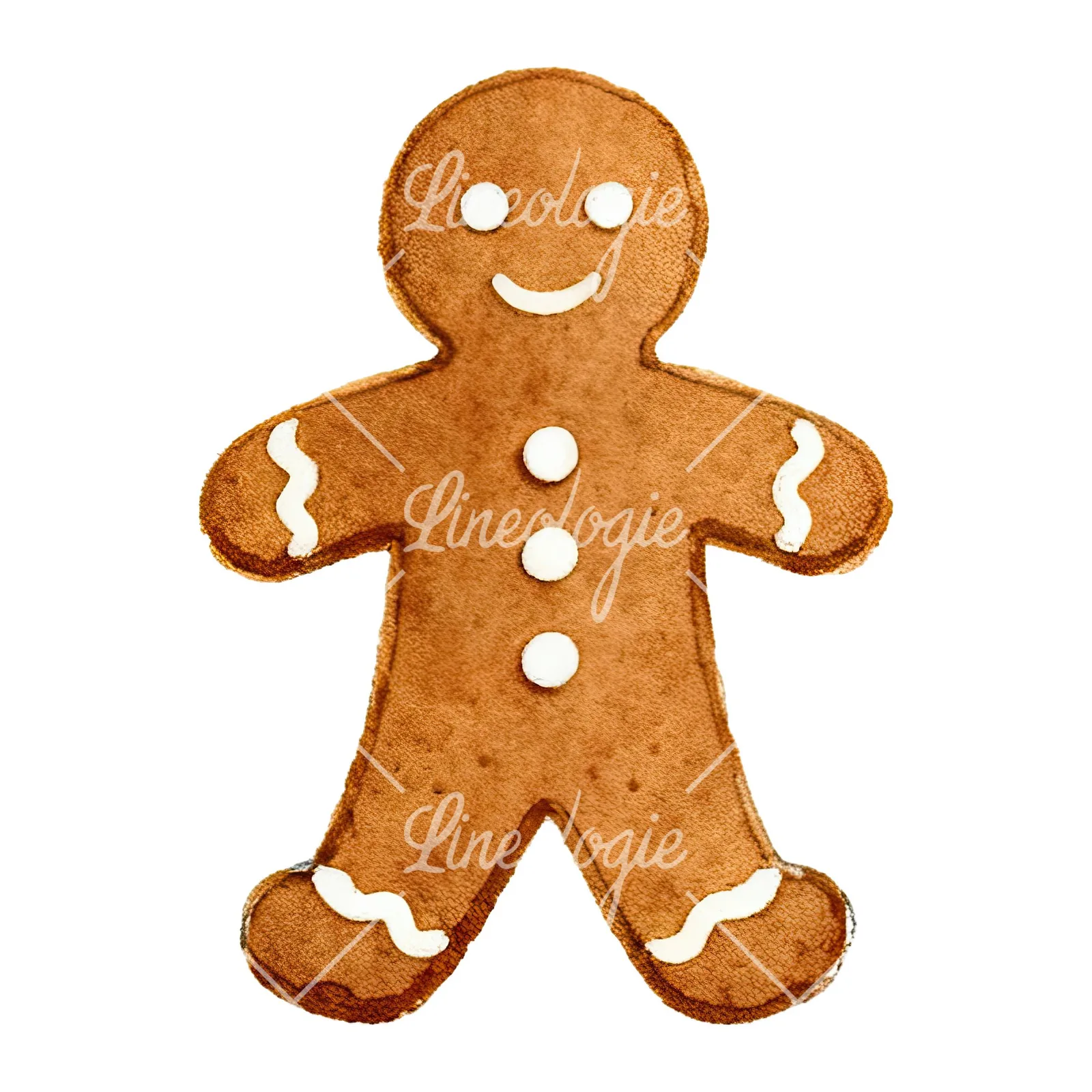 Watercolor iced gingerbread man clipart 2 of 9 on a white background (JPG)