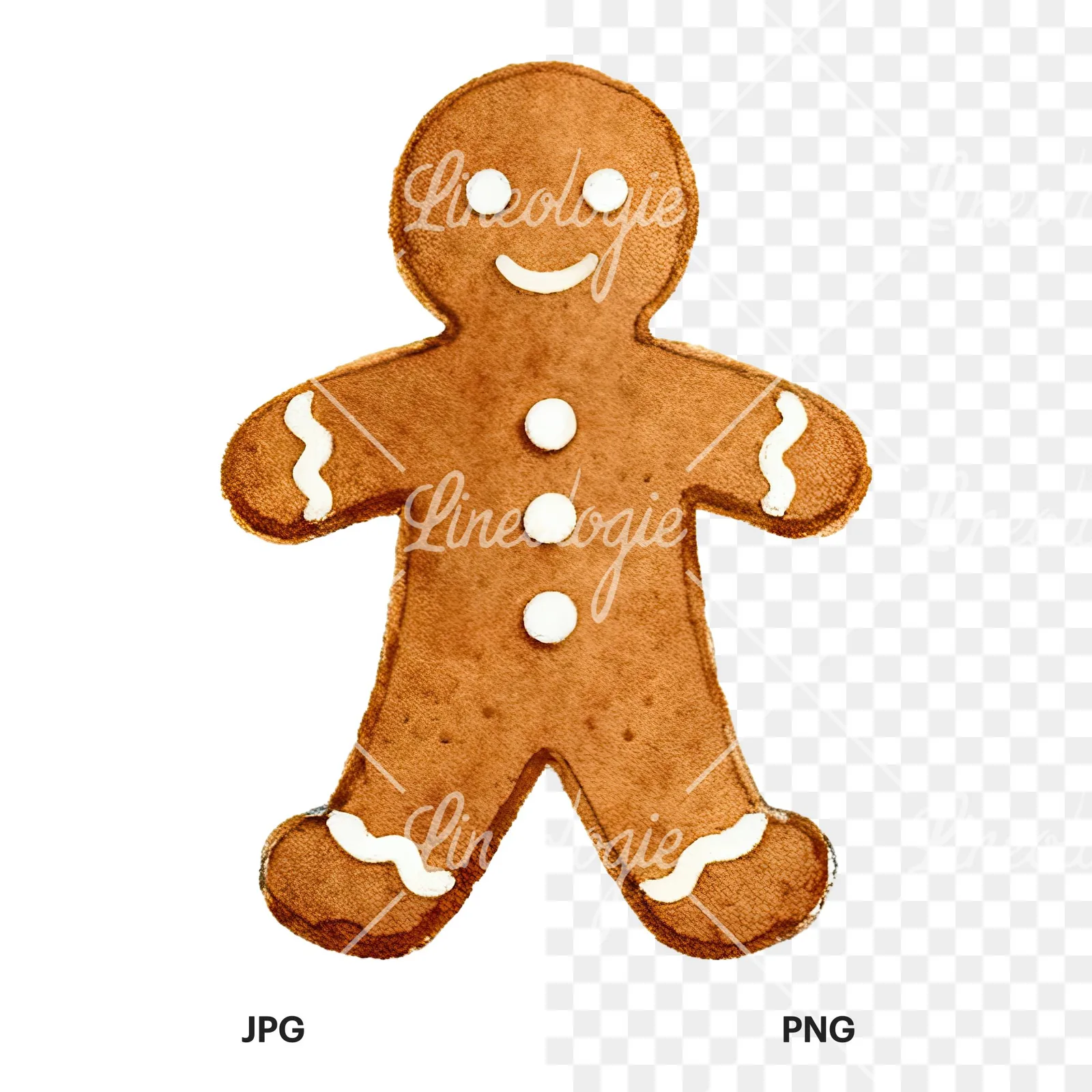 Watercolor iced gingerbread man clipart 2 of 9, as a JPG on white and a transparent PNG