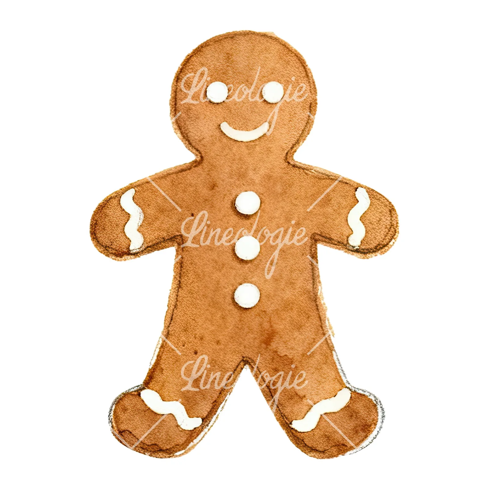 Watercolor iced gingerbread man clipart 8 of 9 on a white background (JPG)