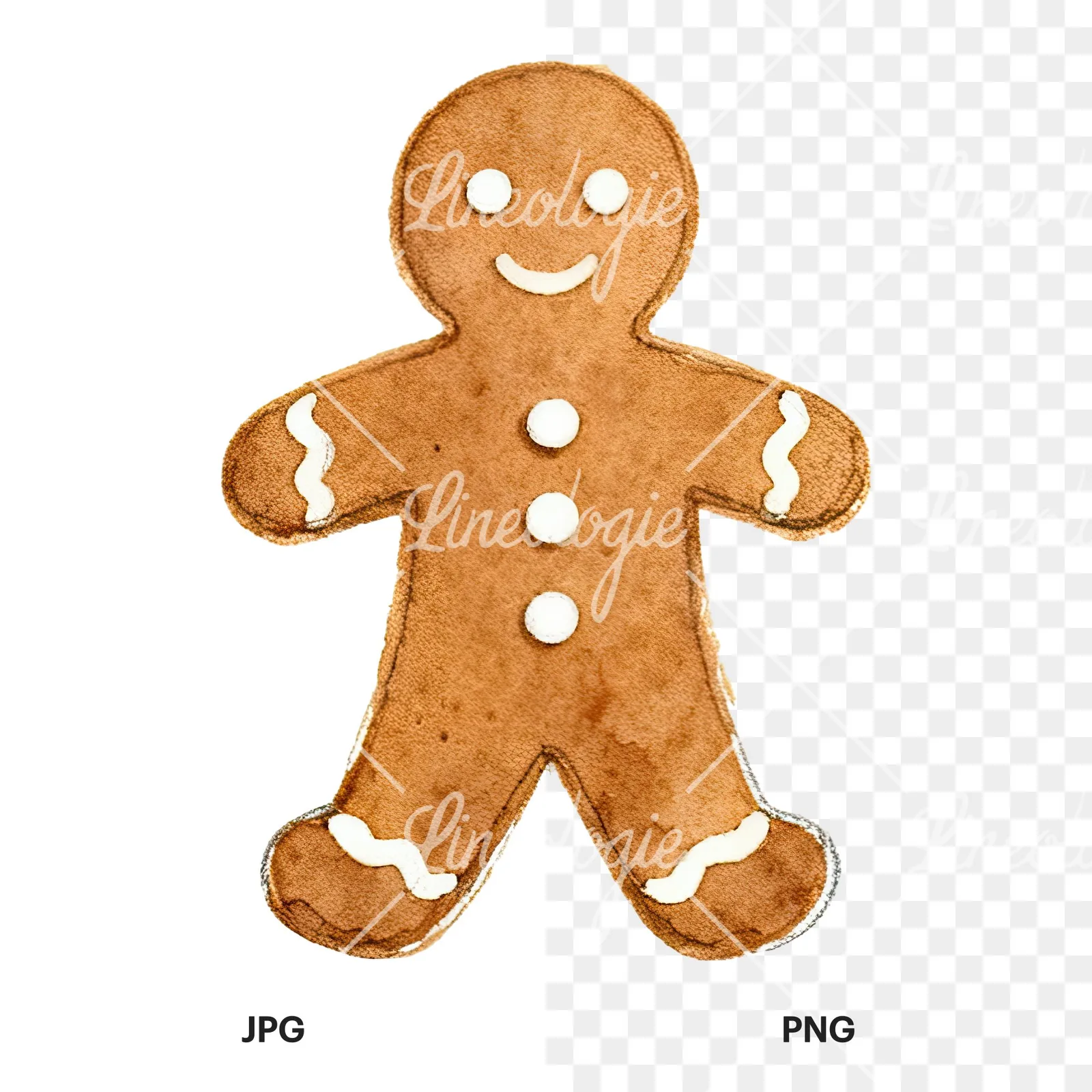 Watercolor iced gingerbread man clipart 8 of 9, as a JPG on white and a transparent PNG