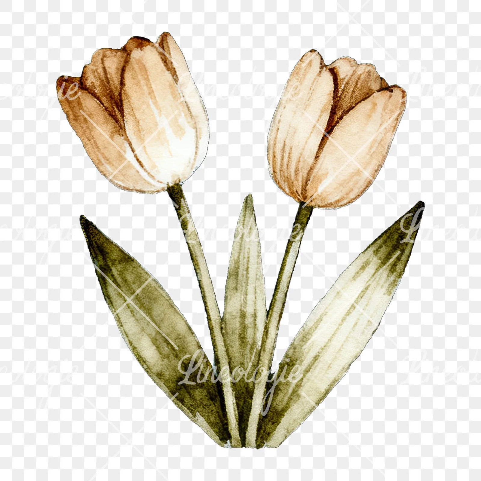 Watercolor neutral Easter eggs and bunny clipart 6 of 10 on a transparent background (PNG)