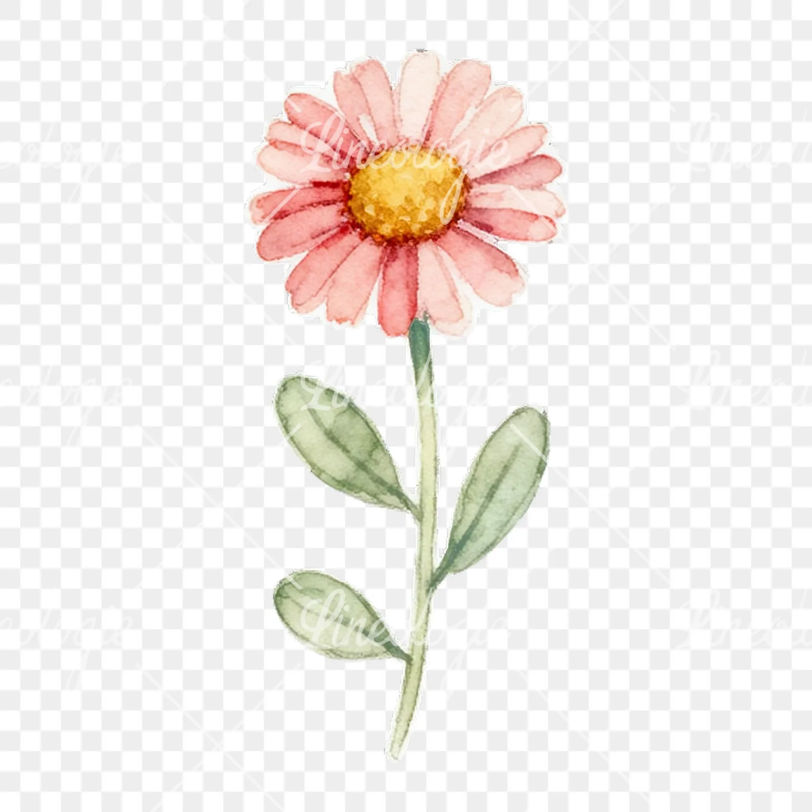 Watercolor spring flower bunch clipart 2 of 10 on a transparent background (PNG)
