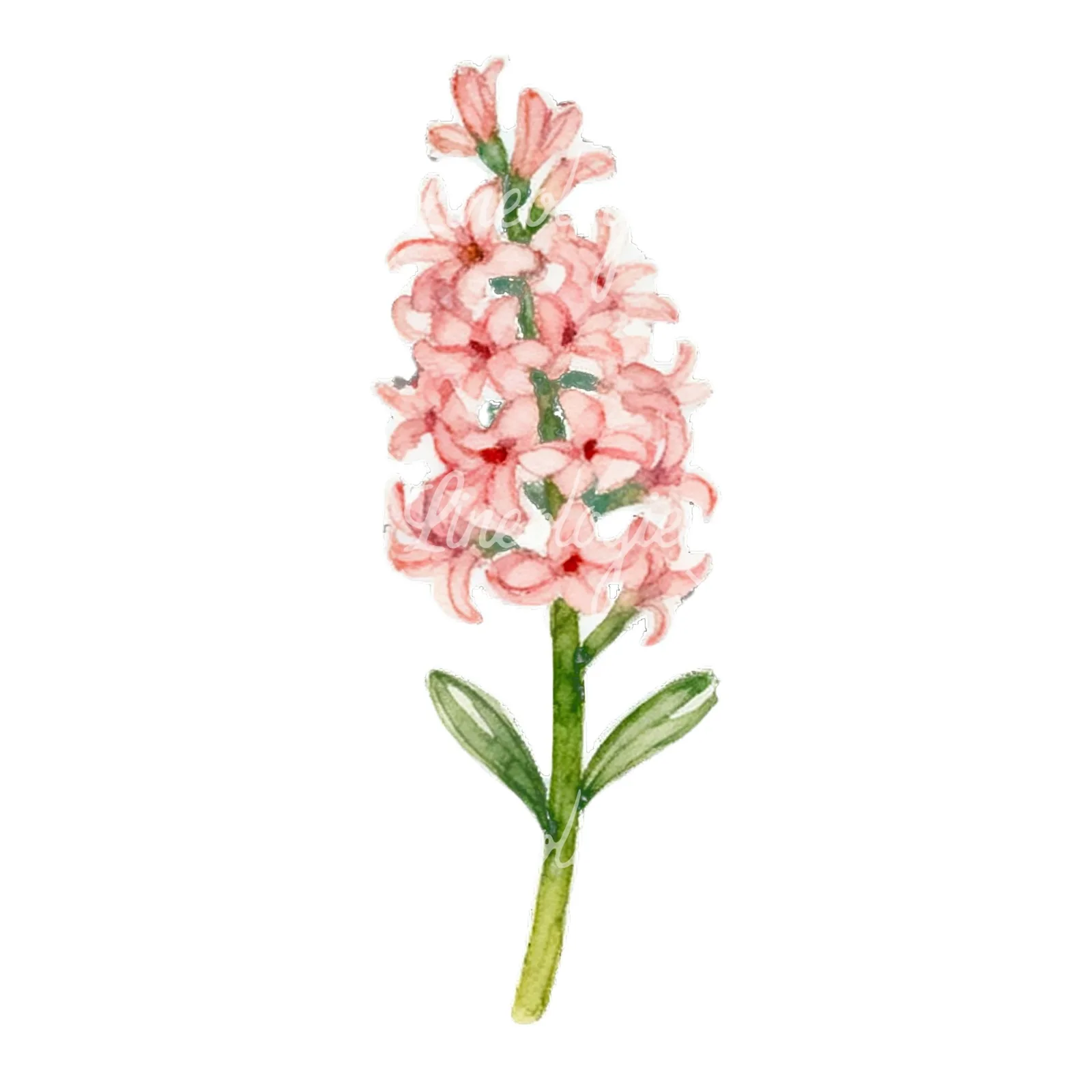 Watercolor spring flower bunch clipart 3 of 10 on a white background (JPG)