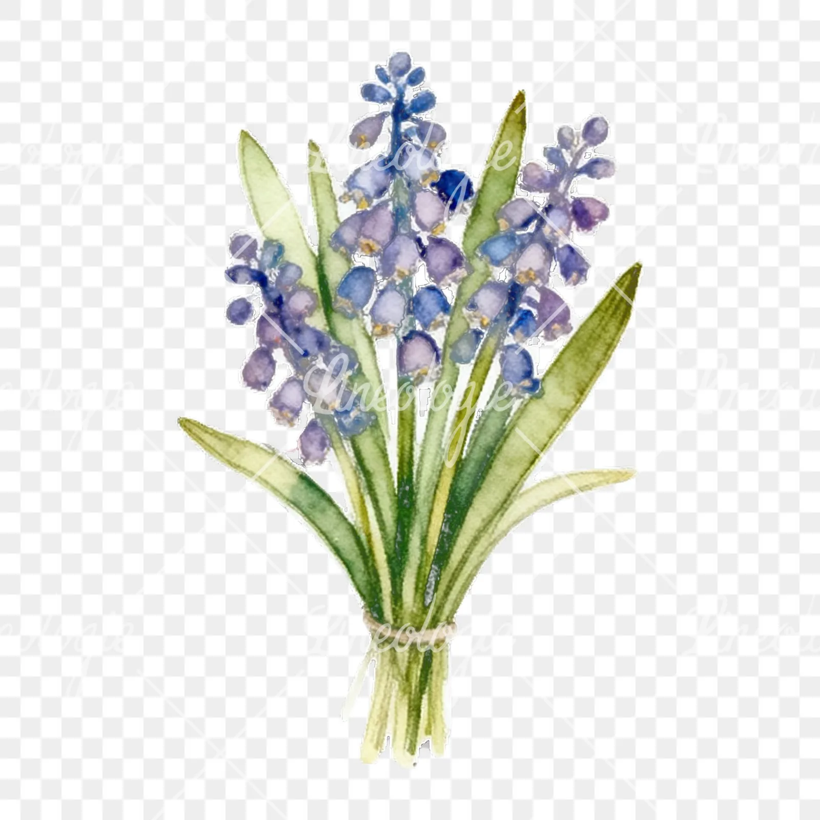 Watercolor spring flower bunch clipart 6 of 10 on a transparent background (PNG)