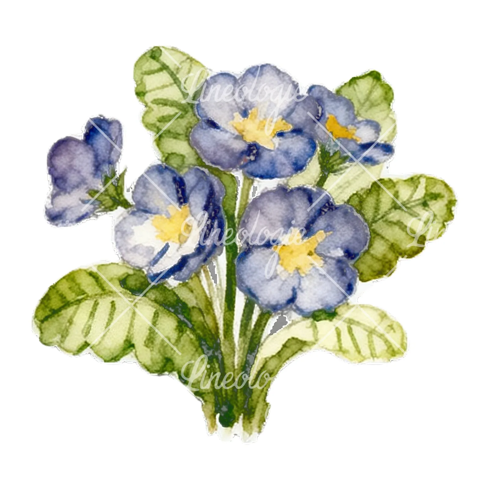 Watercolor spring flower bunch clipart 9 of 10 on a white background (JPG)