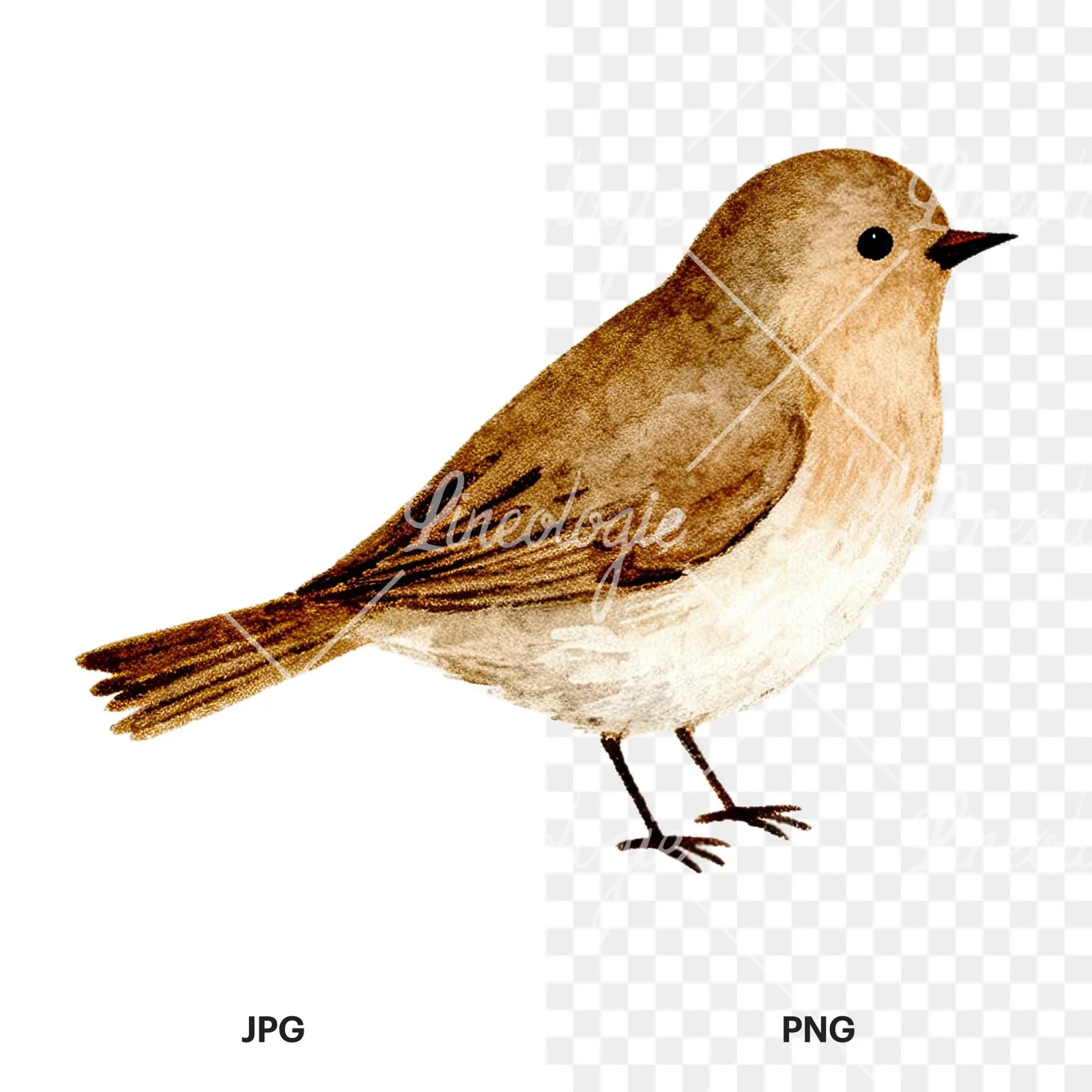 Watercolor Easter with crosses and bird clipart 7 of 12, as a JPG on white and a transparent PNG