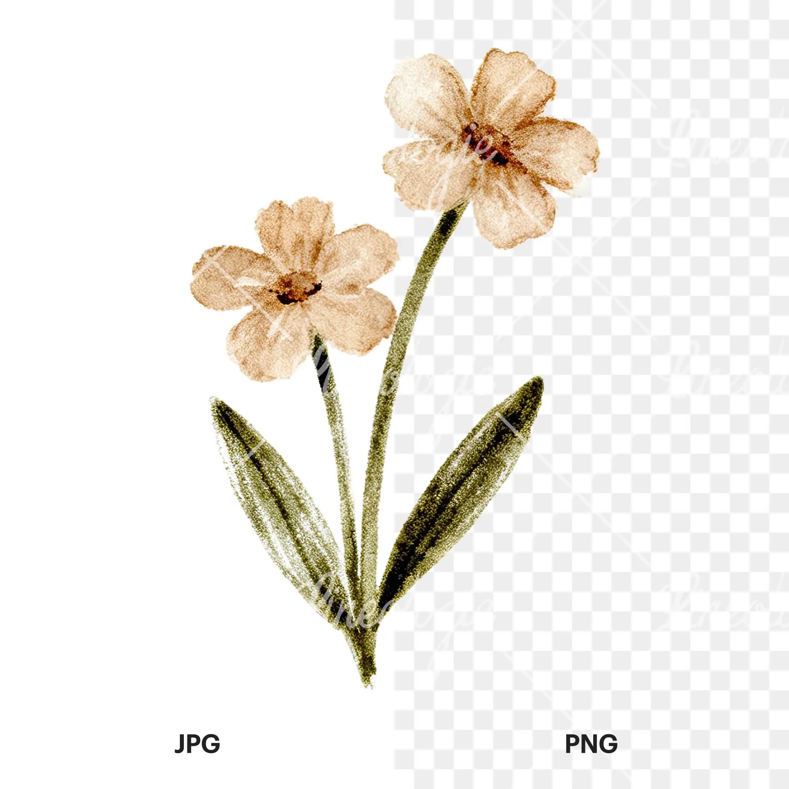 Watercolor Easter with crosses and bird clipart 10 of 12, as a JPG on white and a transparent PNG