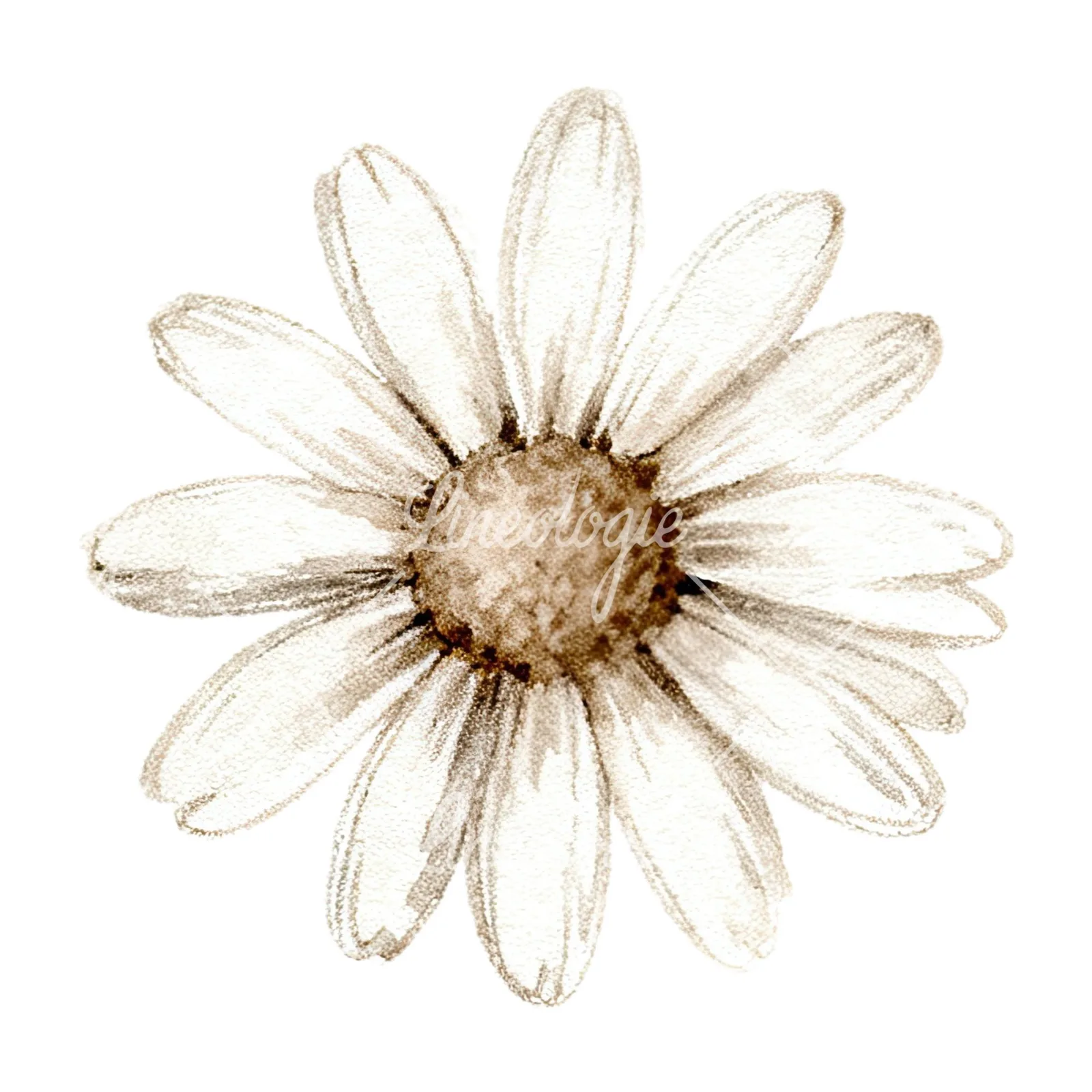 Watercolor neutral boho clipart 5 of 12 on a white background (JPG)