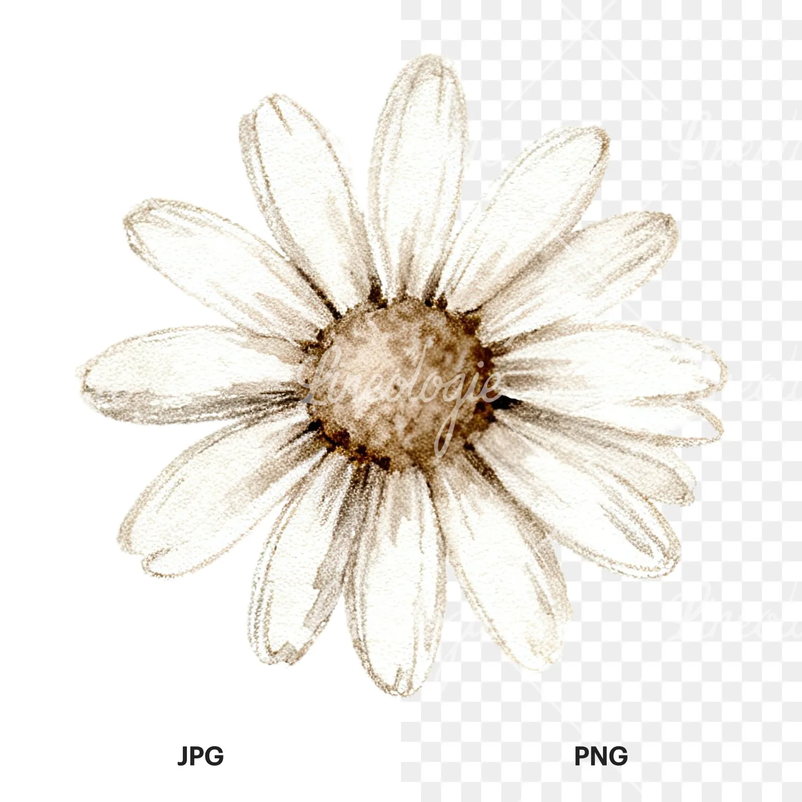 Watercolor neutral boho clipart 5 of 12, as a JPG on white and a transparent PNG