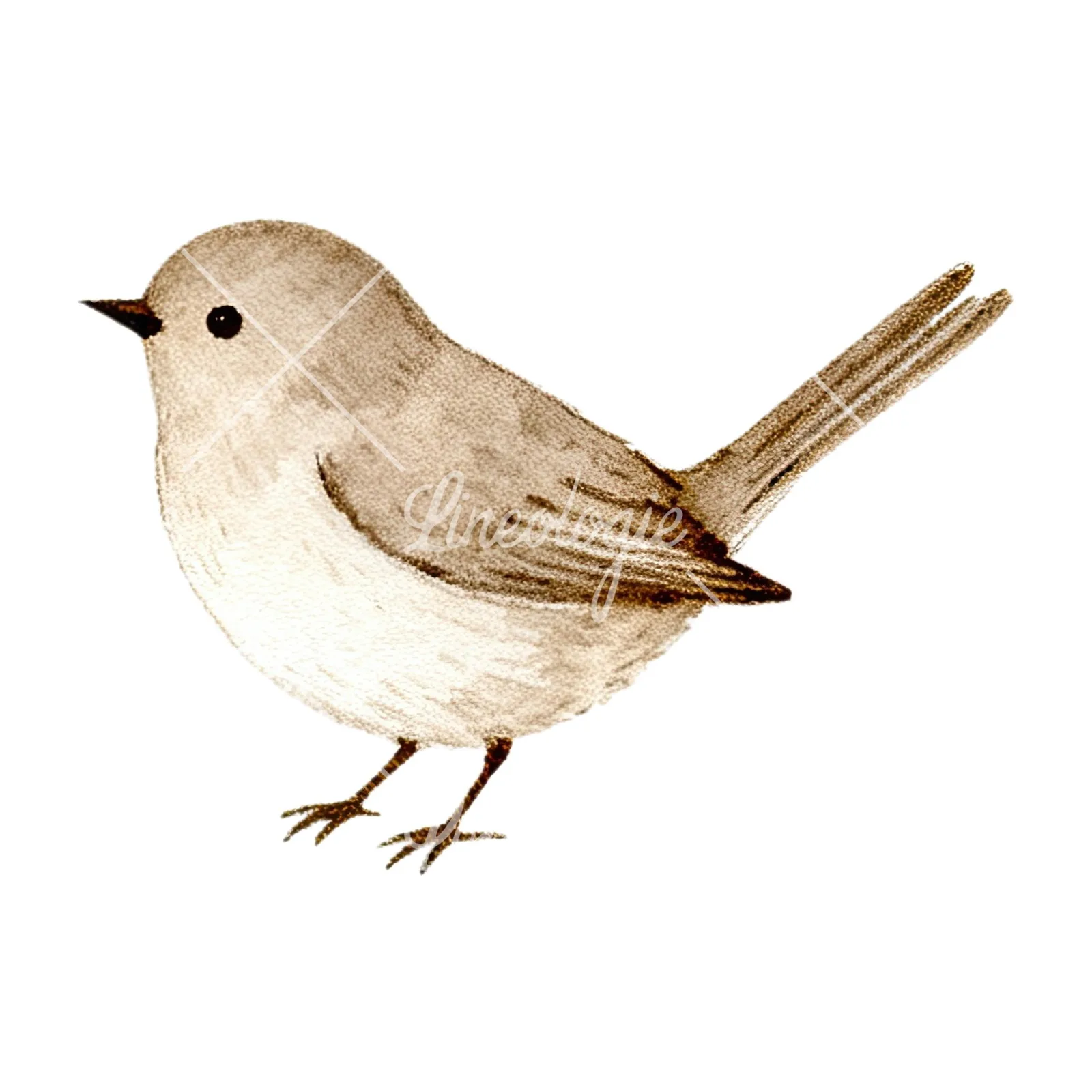 Watercolor neutral boho clipart 6 of 12 on a white background (JPG)