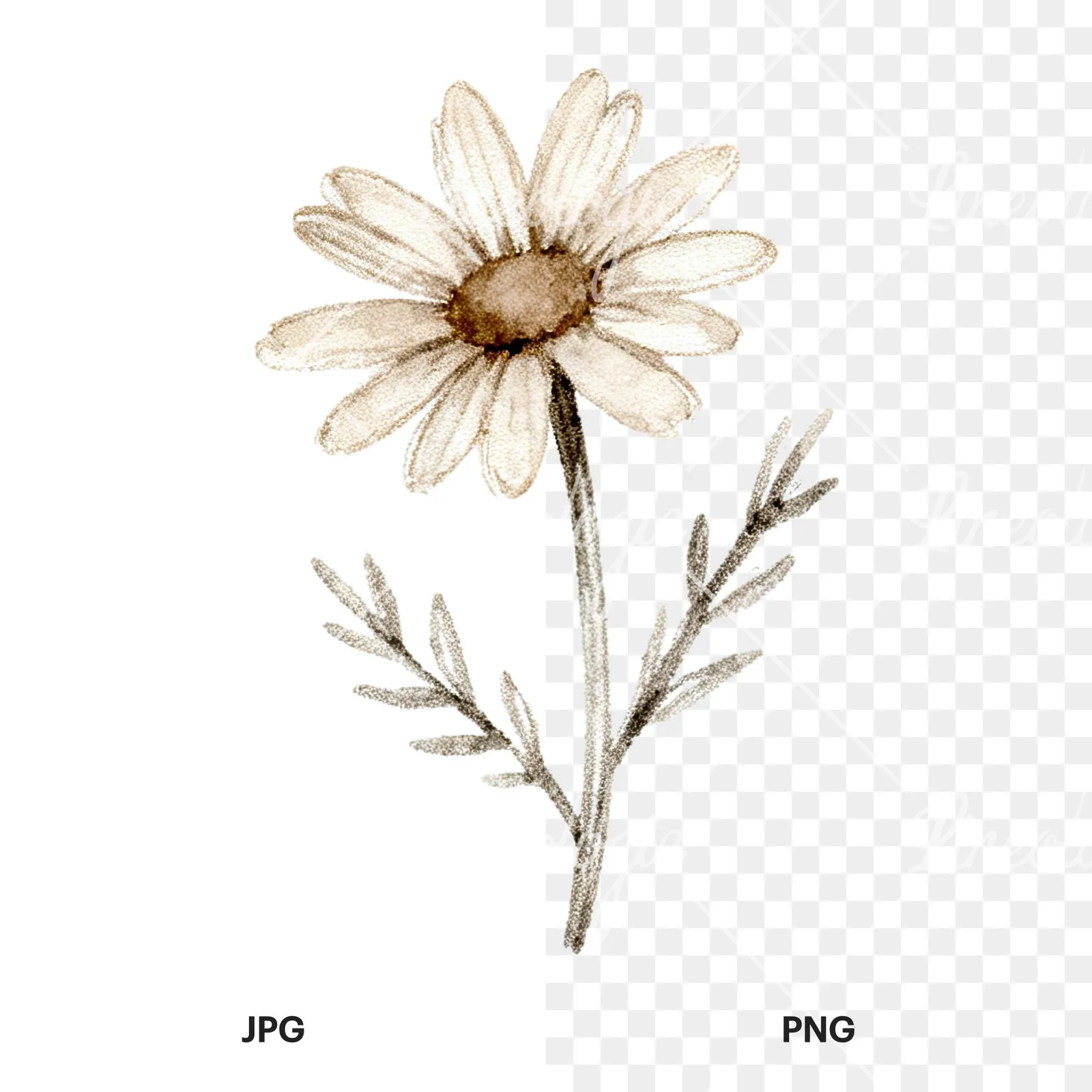 Watercolor neutral boho clipart 8 of 12, as a JPG on white and a transparent PNG