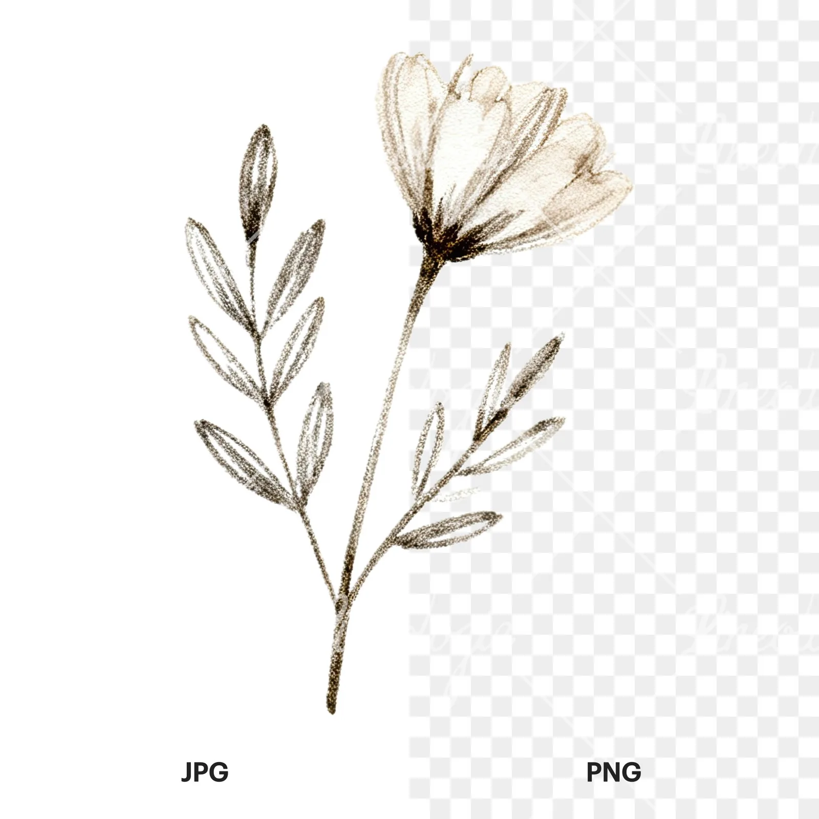 Watercolor neutral boho clipart 9 of 12, as a JPG on white and a transparent PNG