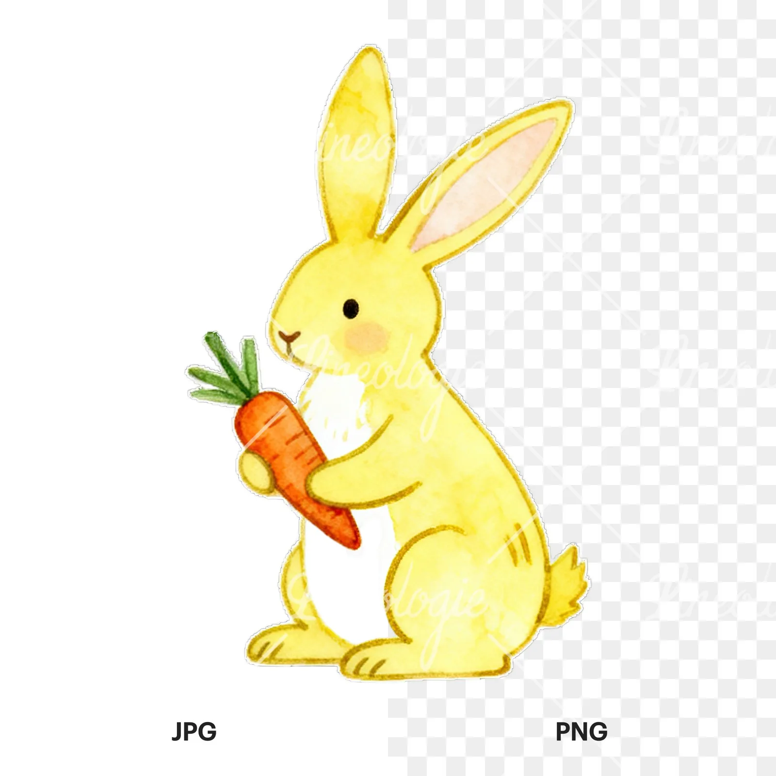 Watercolor colorful Easter bunny clipart 3 of 9, as a JPG on white and a transparent PNG
