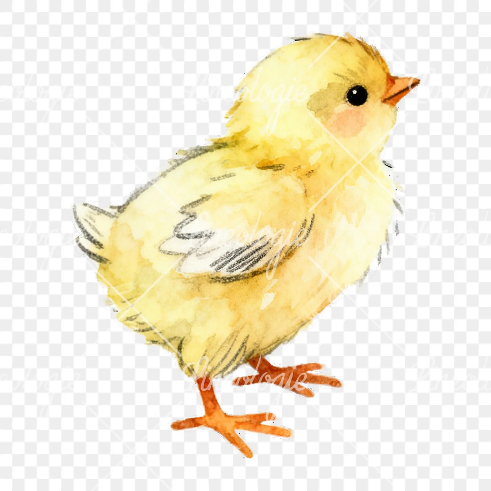 Watercolor baby Easter chick clipart 4 of 9 on a transparent background (PNG)