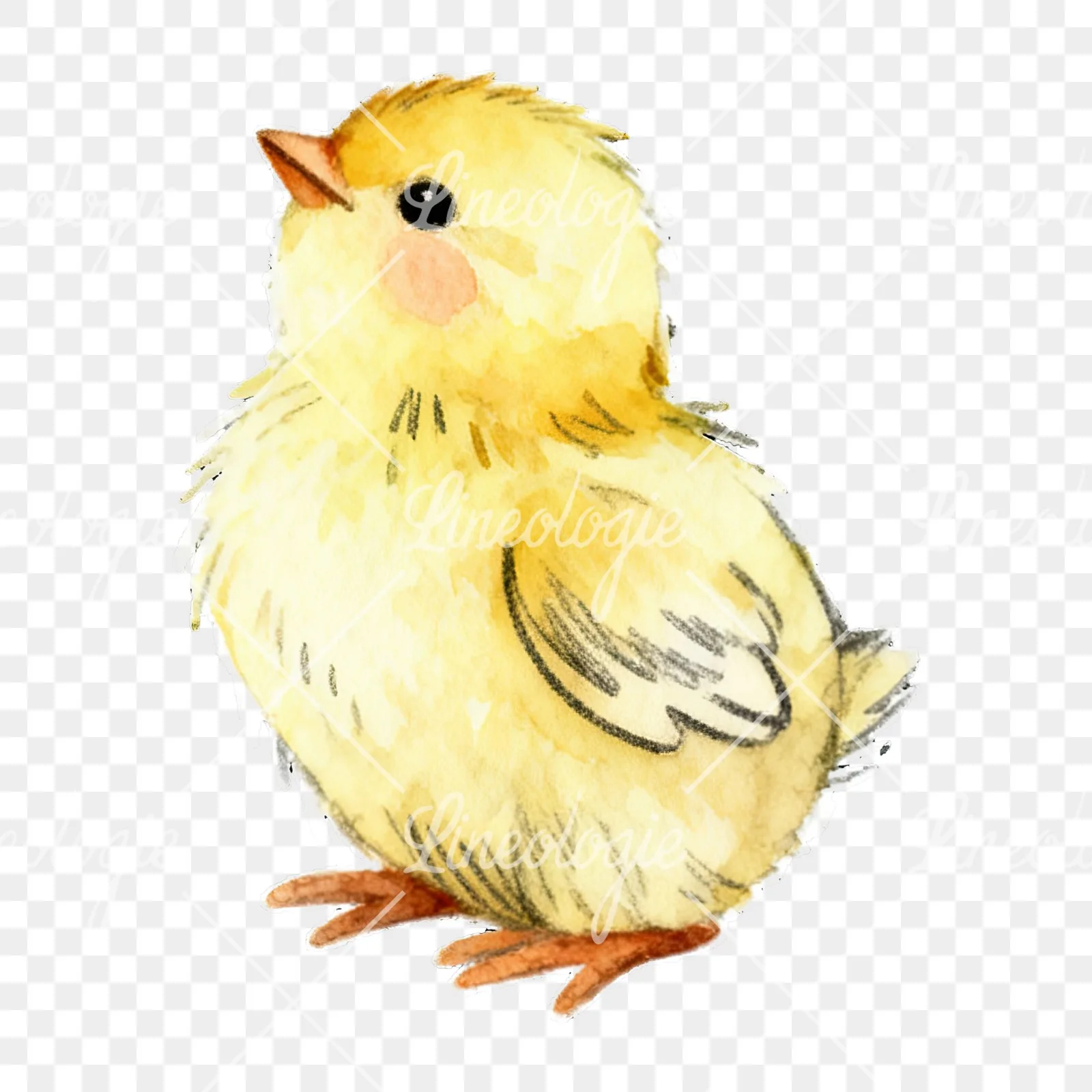 Watercolor baby Easter chick clipart 5 of 9 on a transparent background (PNG)