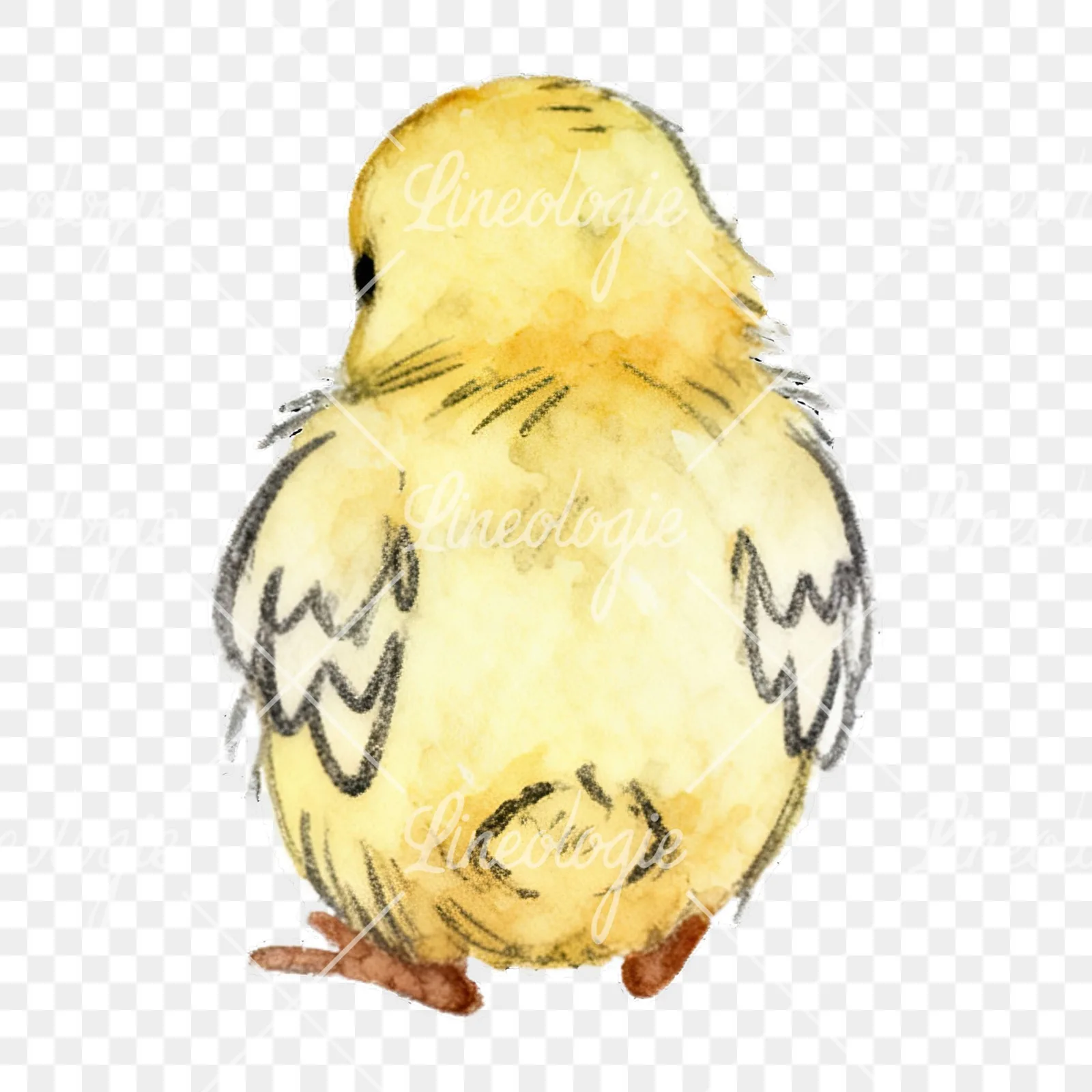Watercolor baby Easter chick clipart 6 of 9 on a transparent background (PNG)