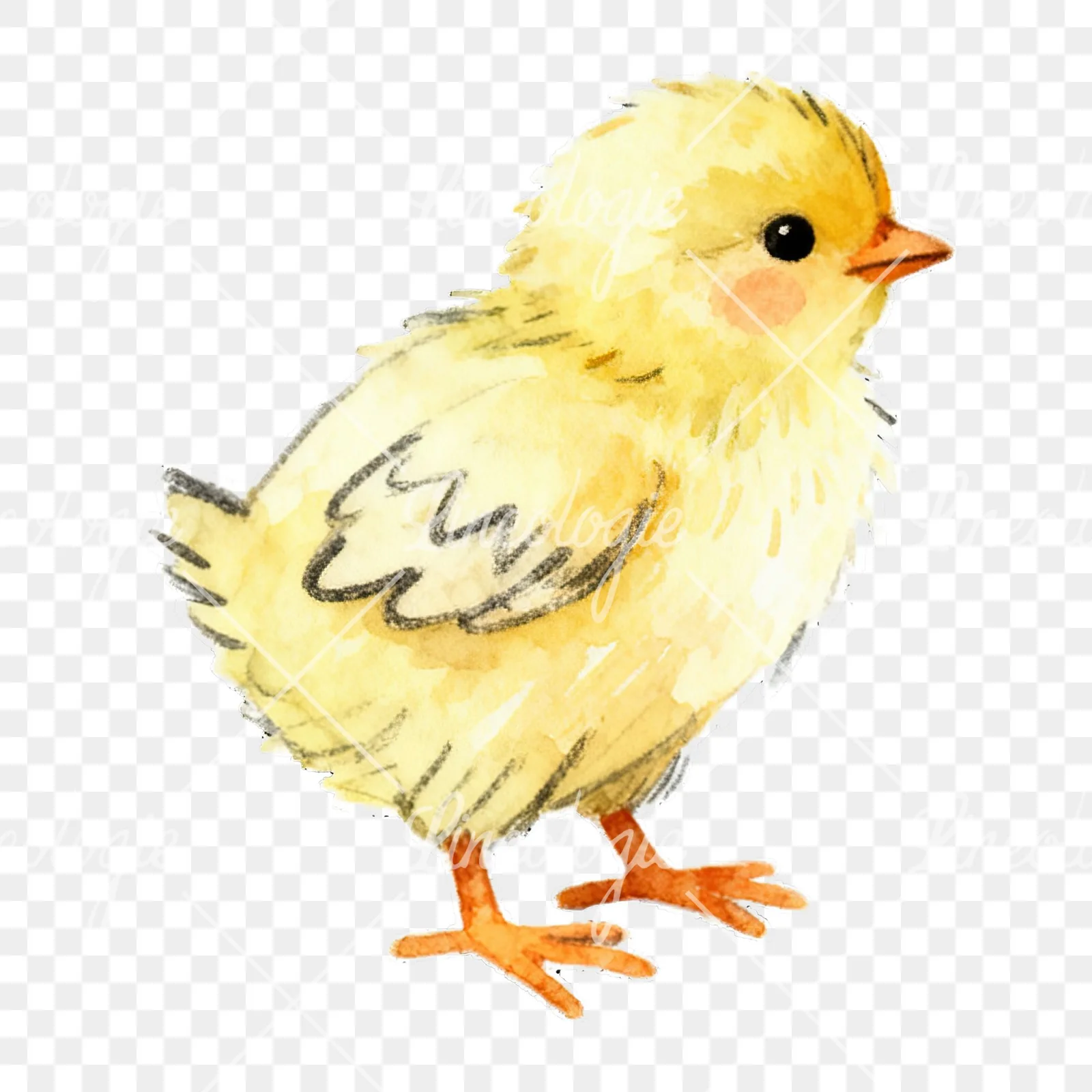 Watercolor baby Easter chick clipart 7 of 9 on a transparent background (PNG)