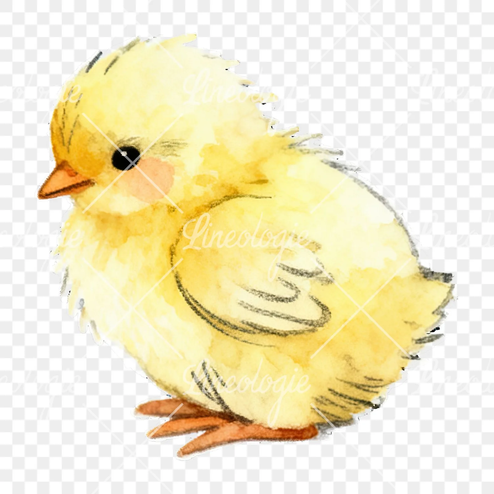 Watercolor baby Easter chick clipart 9 of 9 on a transparent background (PNG)