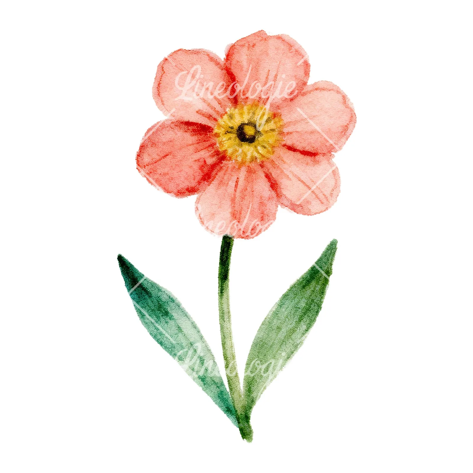 Watercolor Easter flower with pastel tulips clipart 1 of 9 on a white background (JPG)