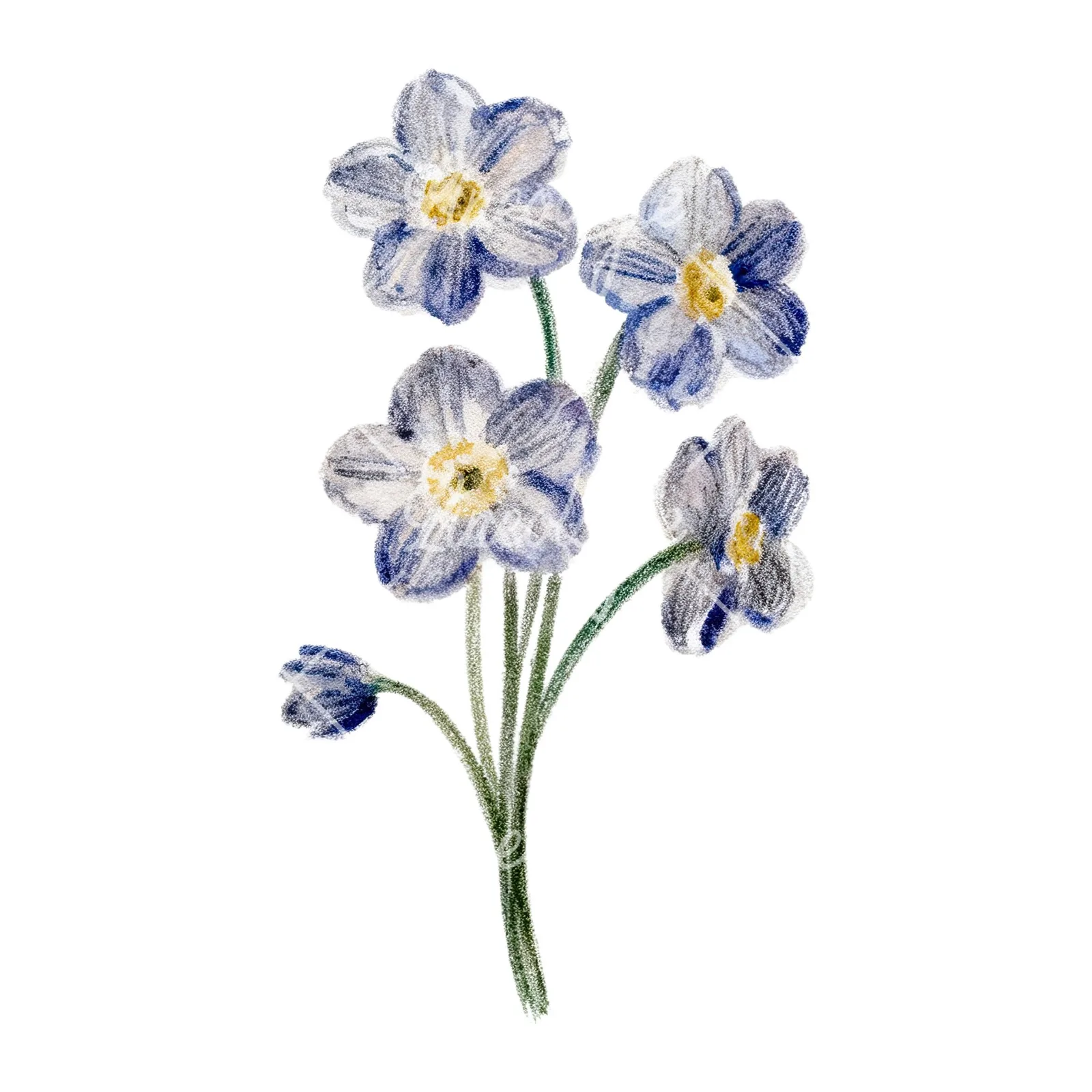 Watercolor Easter flower with pastel tulips clipart 4 of 9 on a white background (JPG)