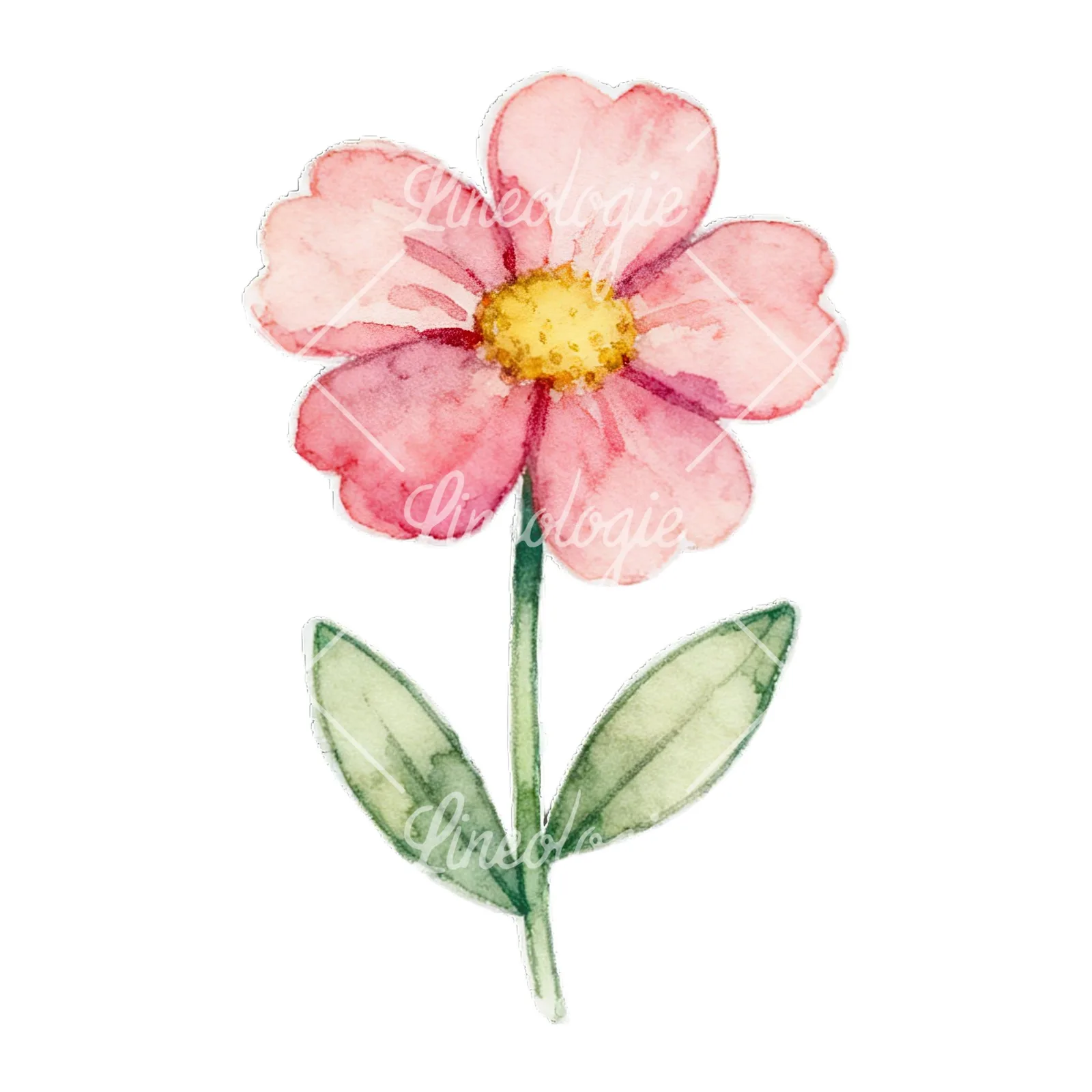 Watercolor Easter flower with hyacinths clipart 1 of 9 on a white background (JPG)