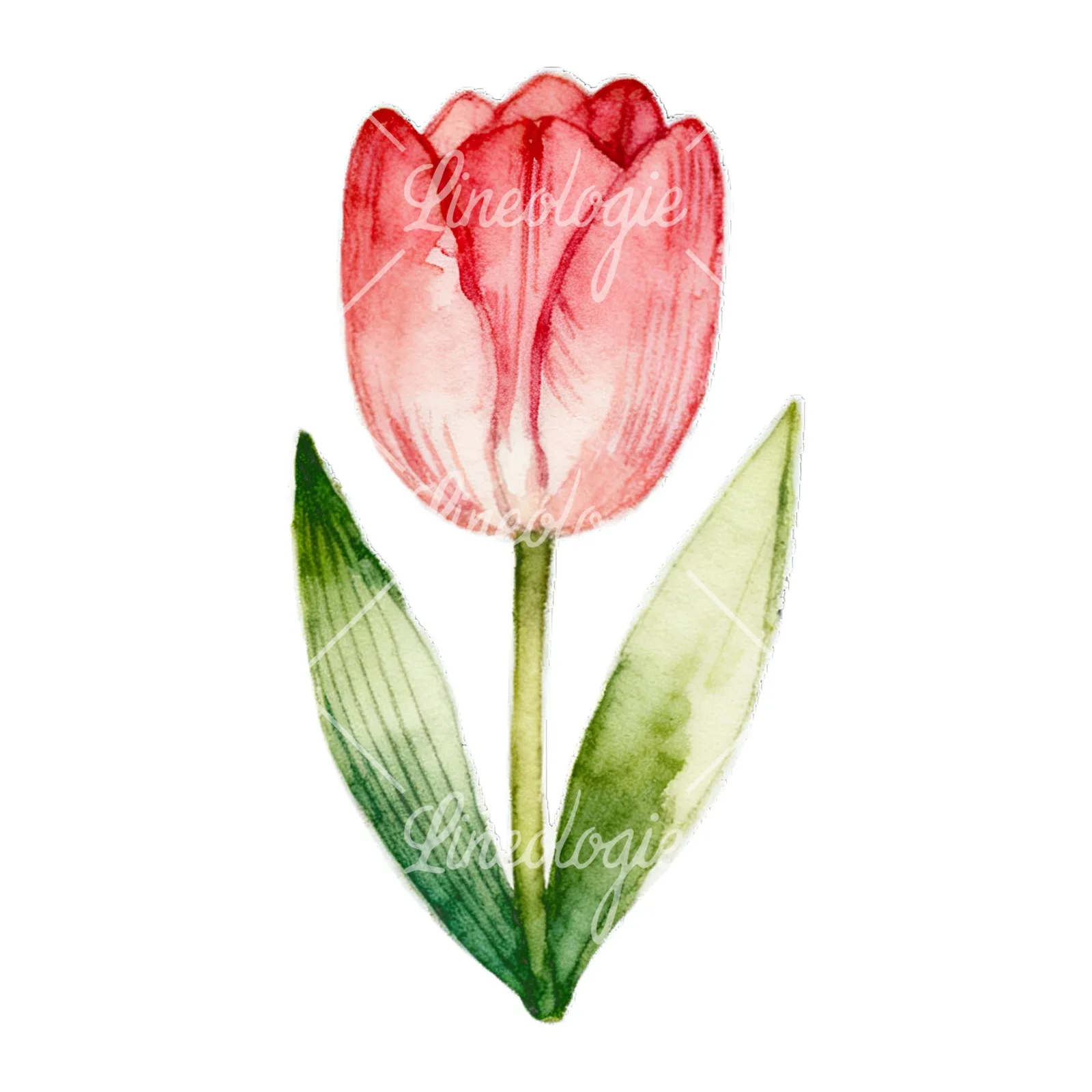 Watercolor Easter flower with hyacinths clipart 3 of 9 on a white background (JPG)