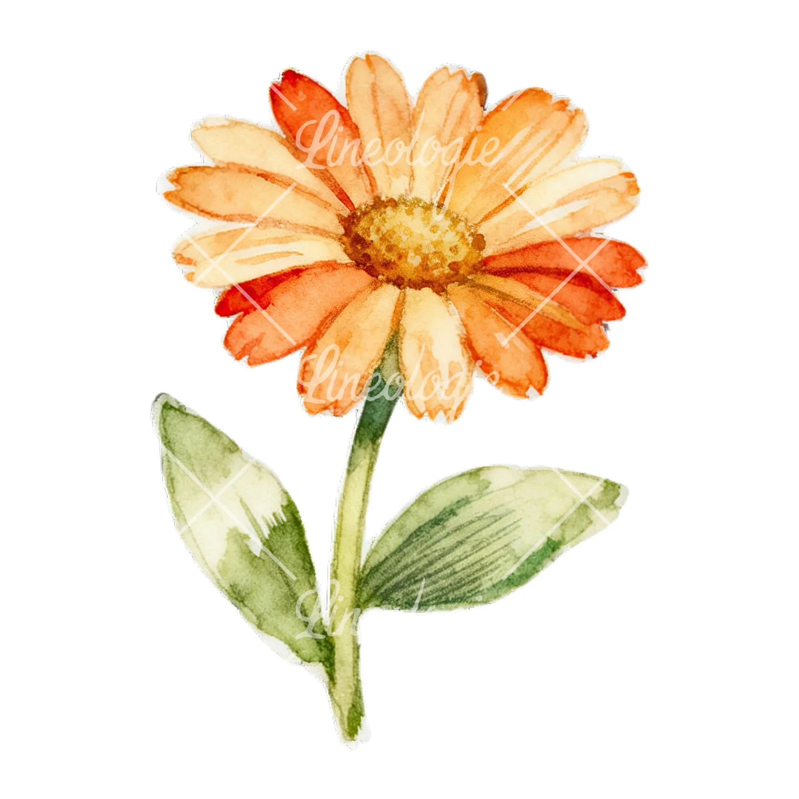 Watercolor Easter flower with hyacinths clipart 4 of 9 on a white background (JPG)