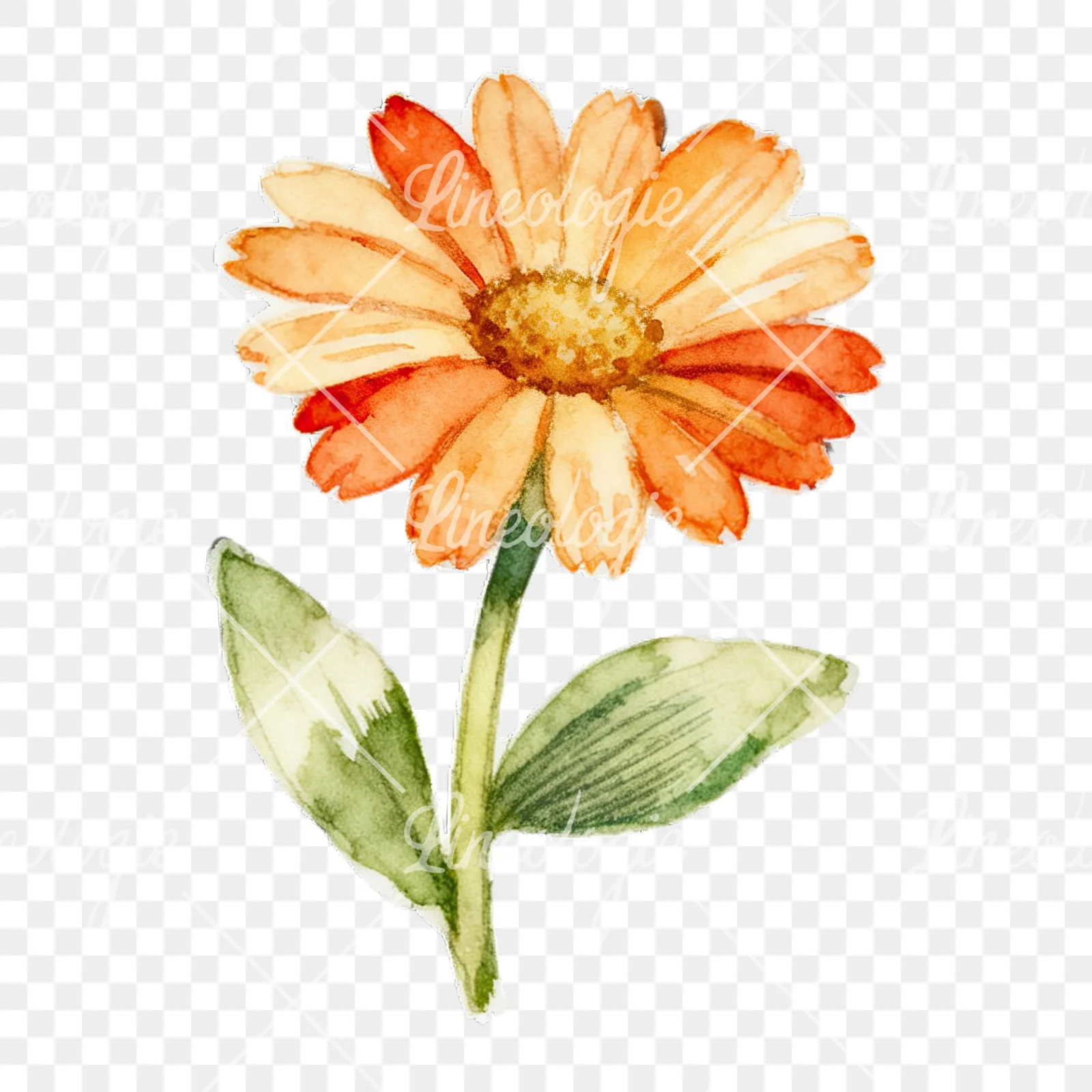 Watercolor Easter flower with hyacinths clipart 4 of 9 on a transparent background (PNG)