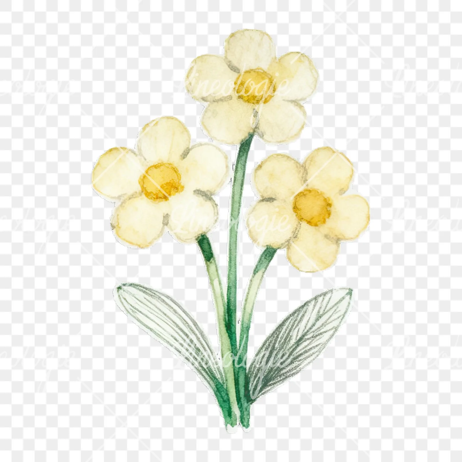 Watercolor Easter flower with hyacinths clipart 7 of 9 on a transparent background (PNG)