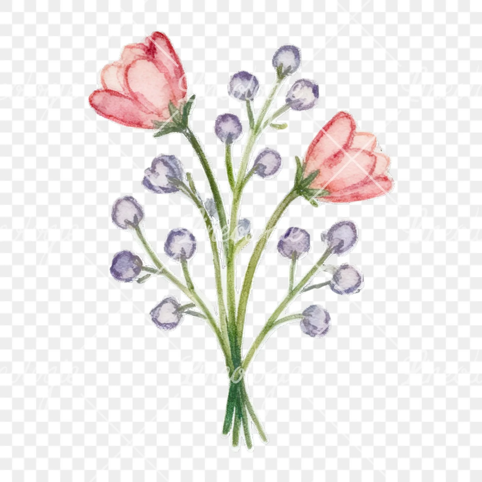 Watercolor Easter flower with hyacinths clipart 9 of 9 on a transparent background (PNG)