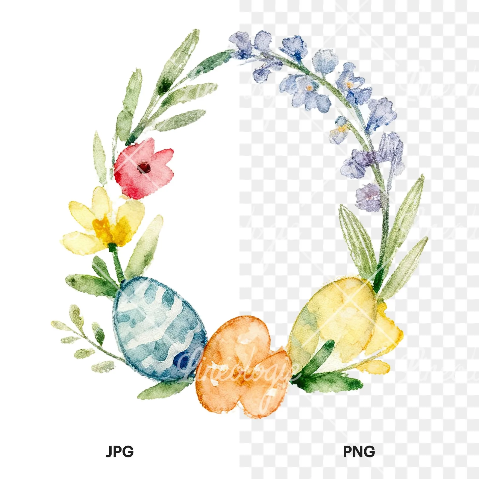 Watercolor floral wreath clipart 4 of 9, as a JPG on white and a transparent PNG
